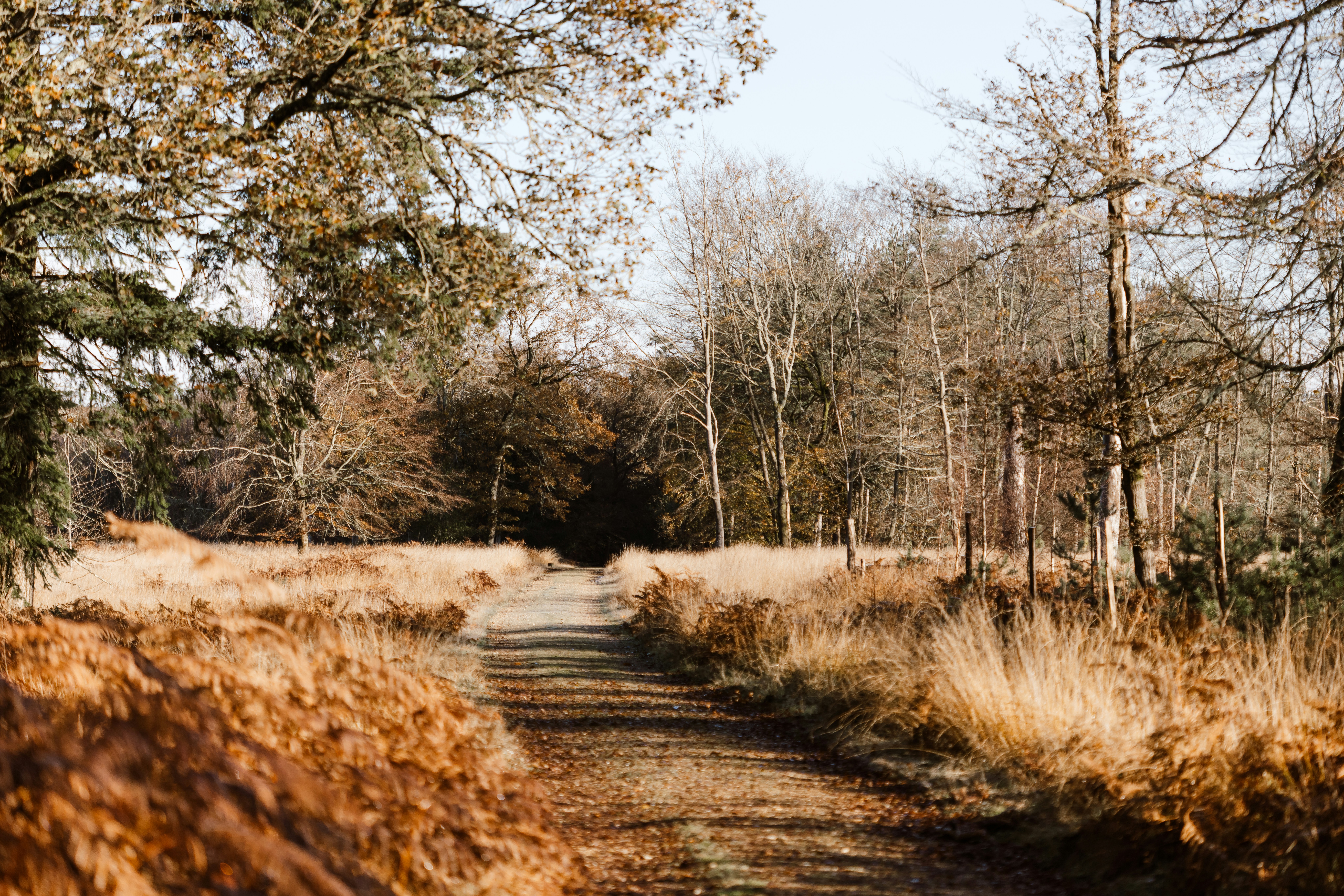 Photo by anniespratt