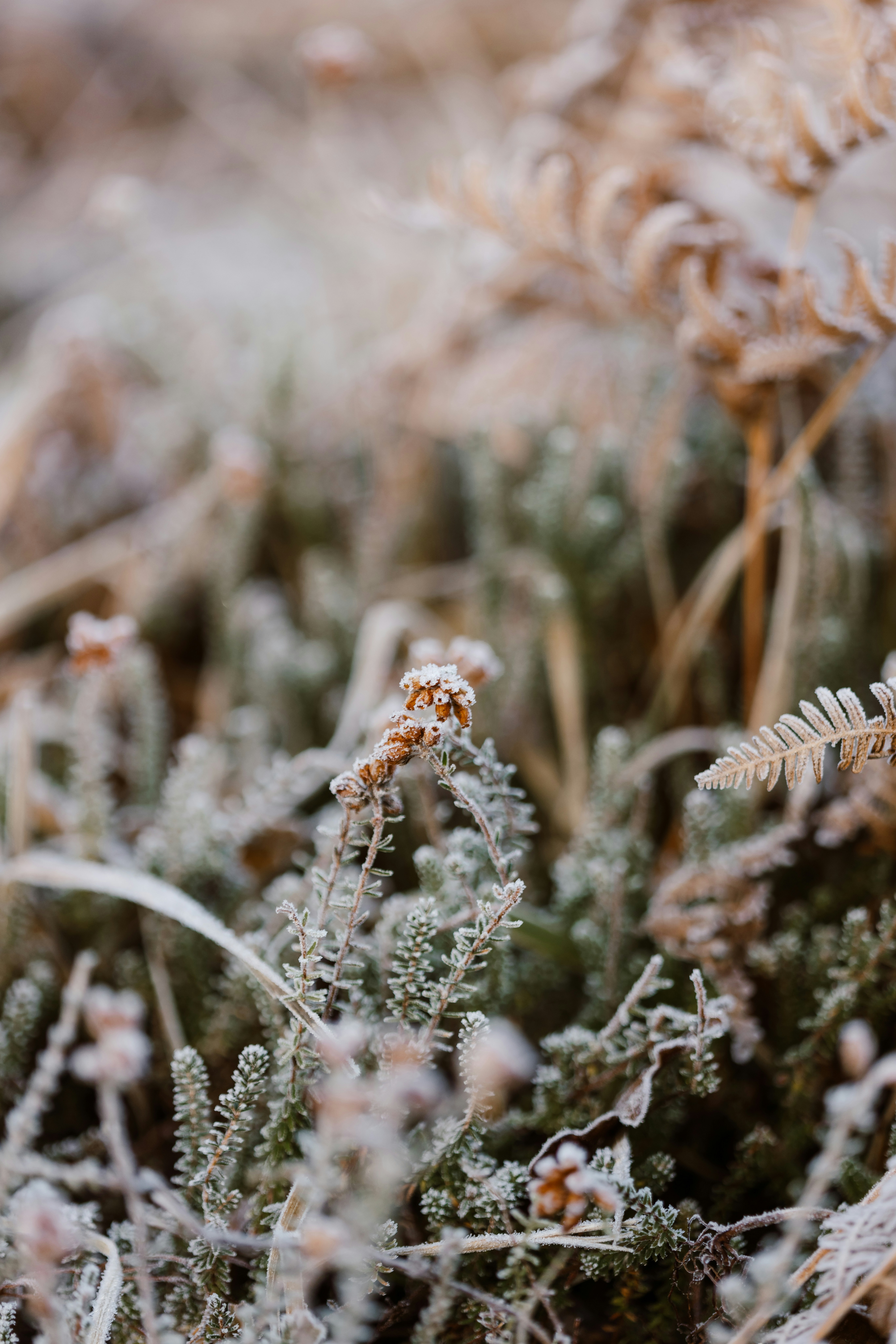 Photo by anniespratt