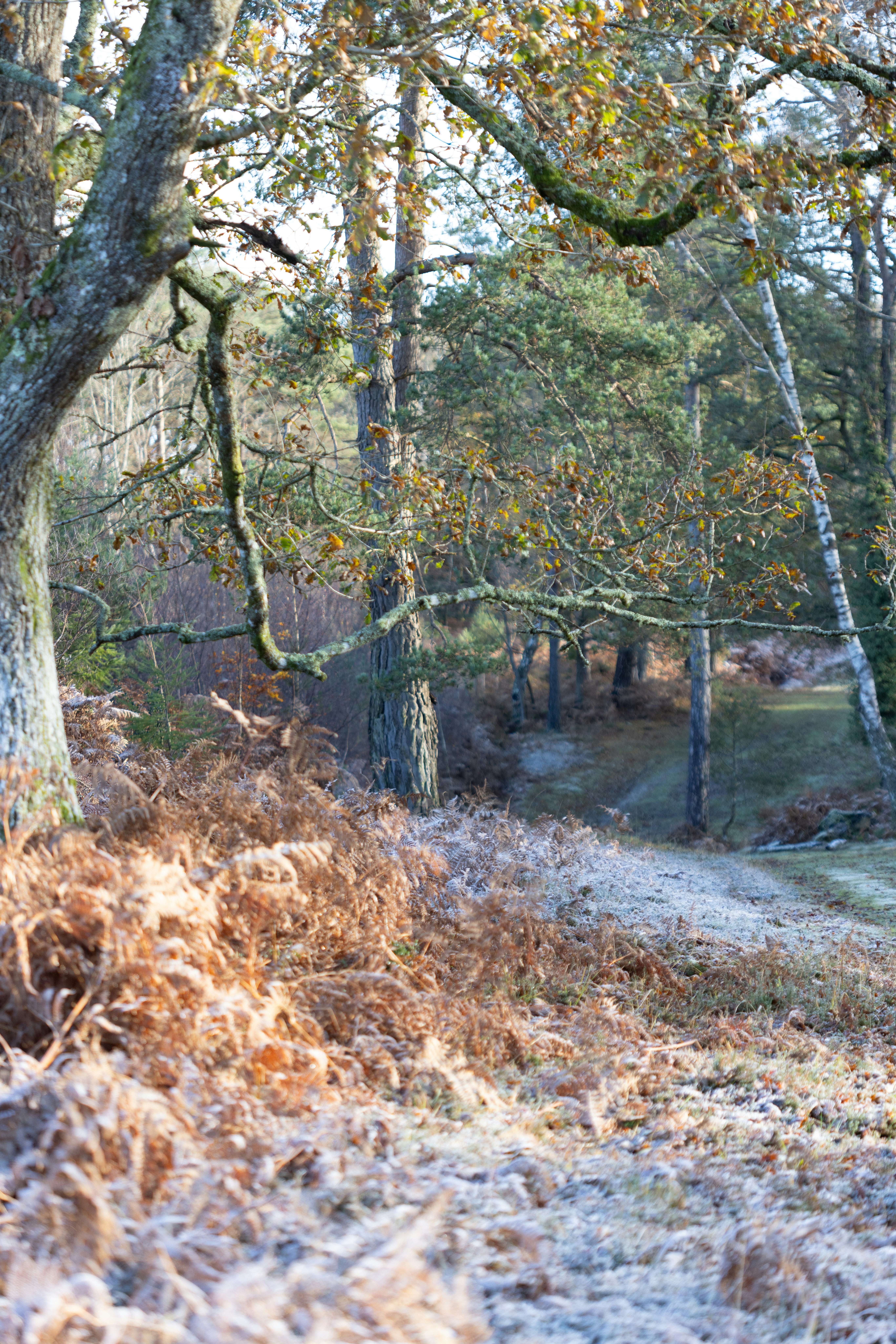 Photo by anniespratt