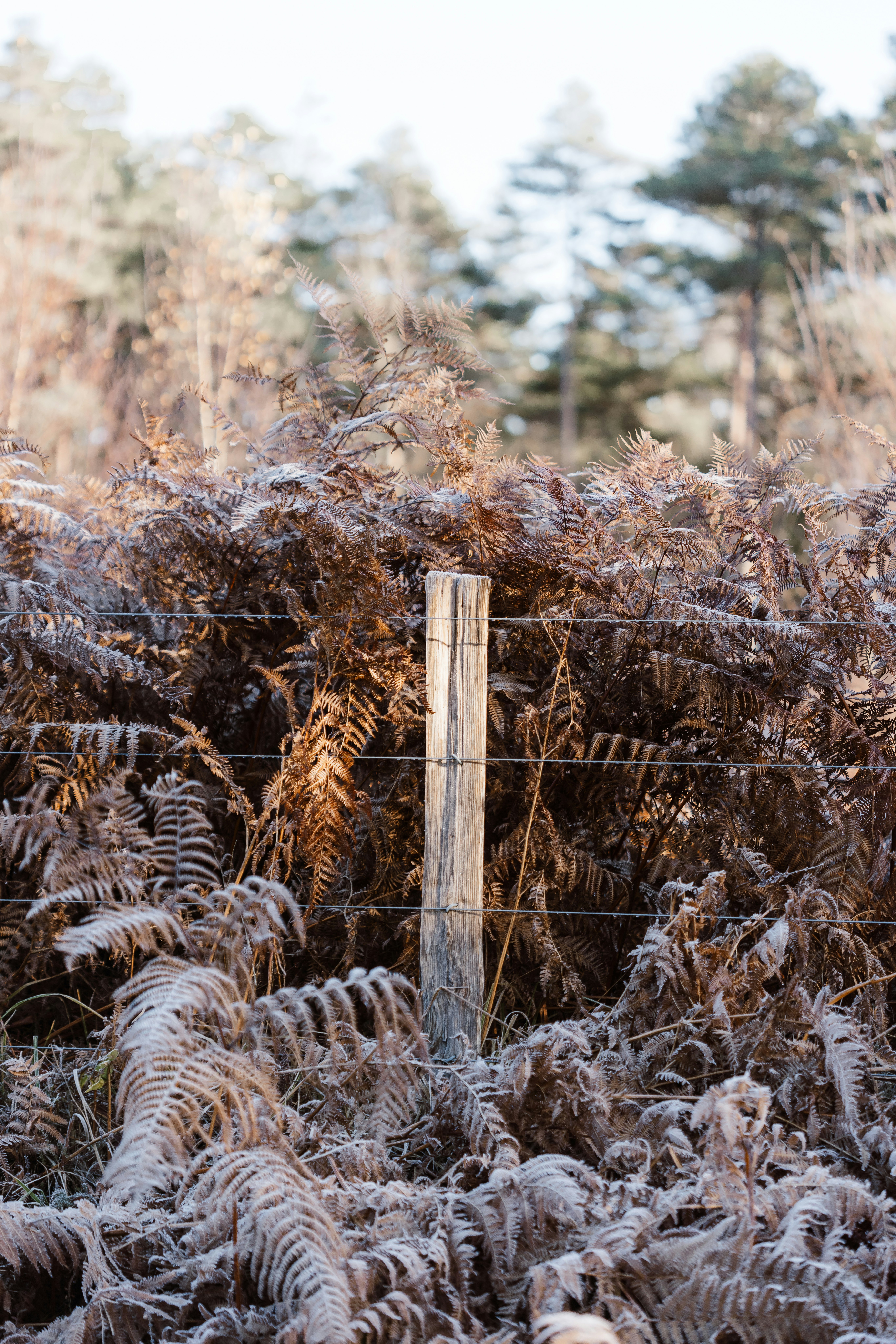 A fence in the middle of a field covered in snow