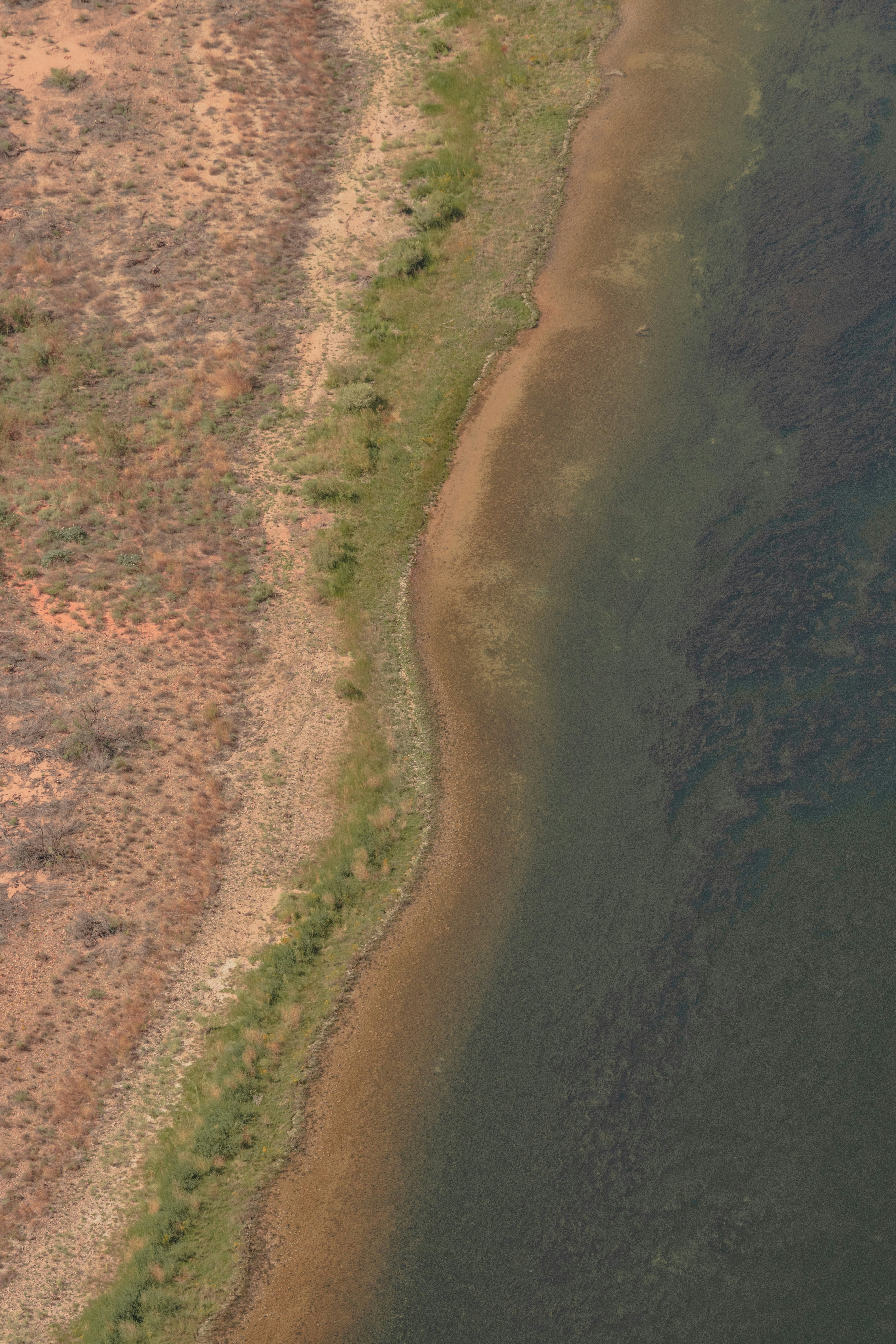 Photo by shaquillecampbell