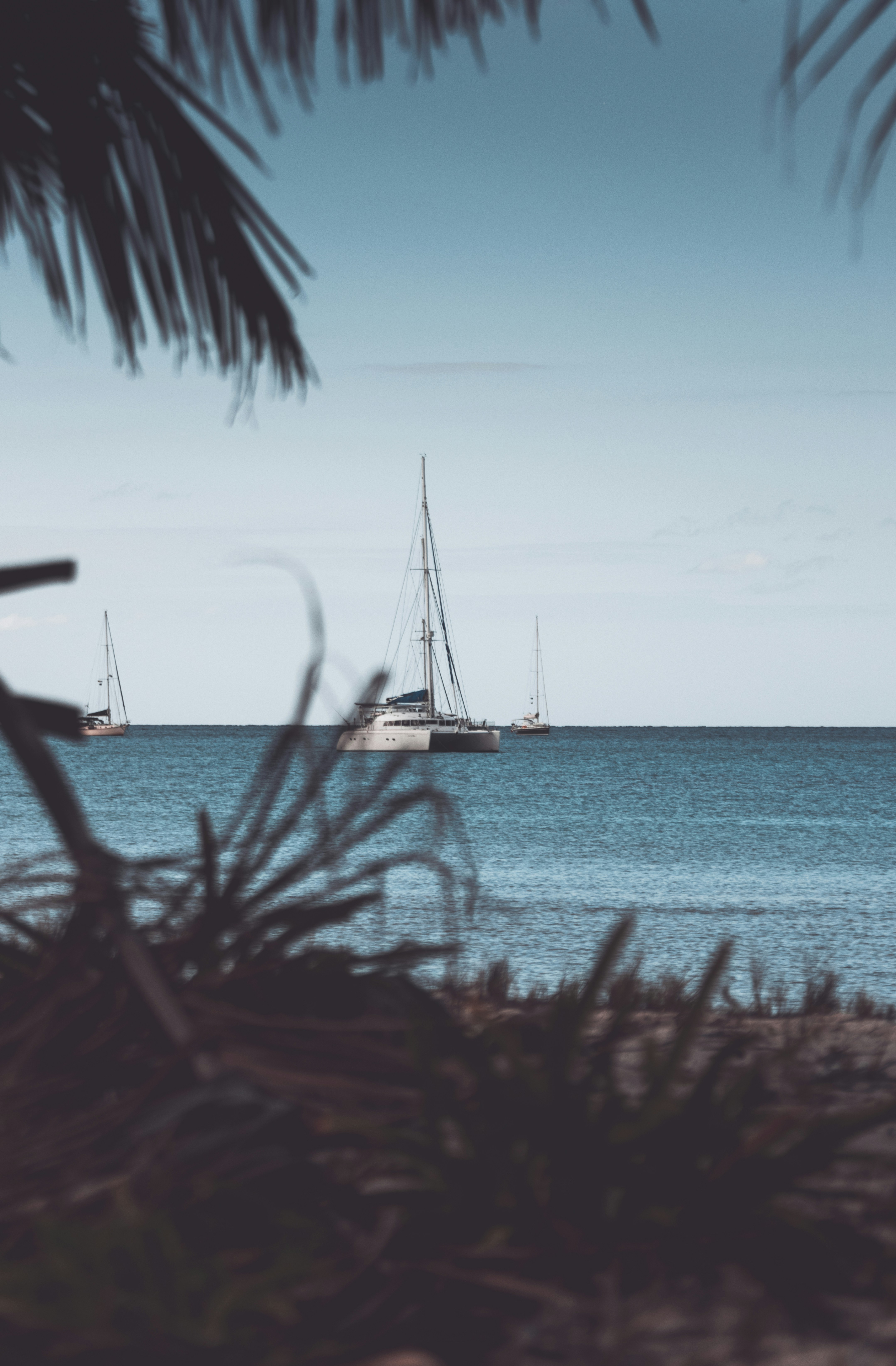 Photo by shaquillecampbell