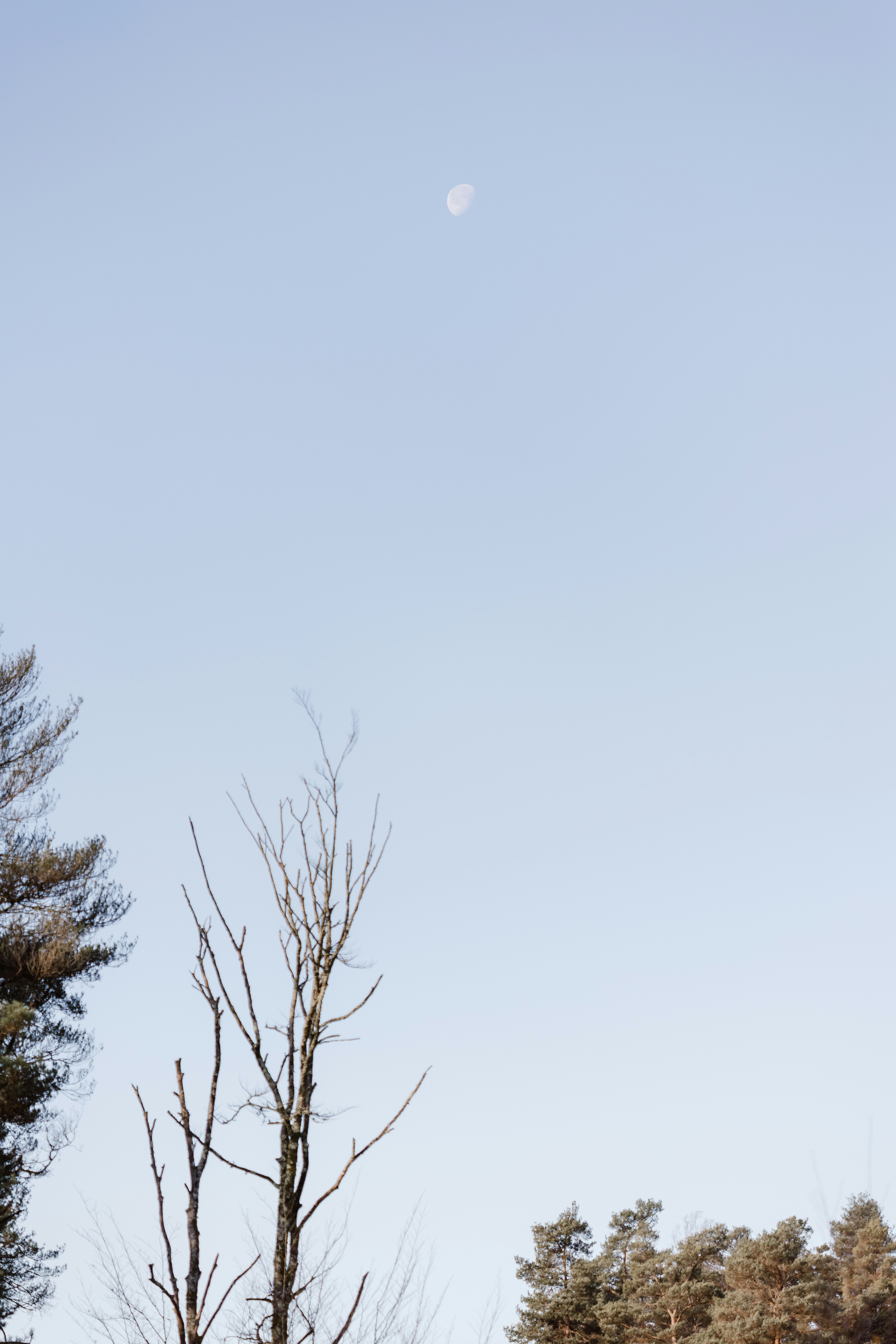 Photo by anniespratt