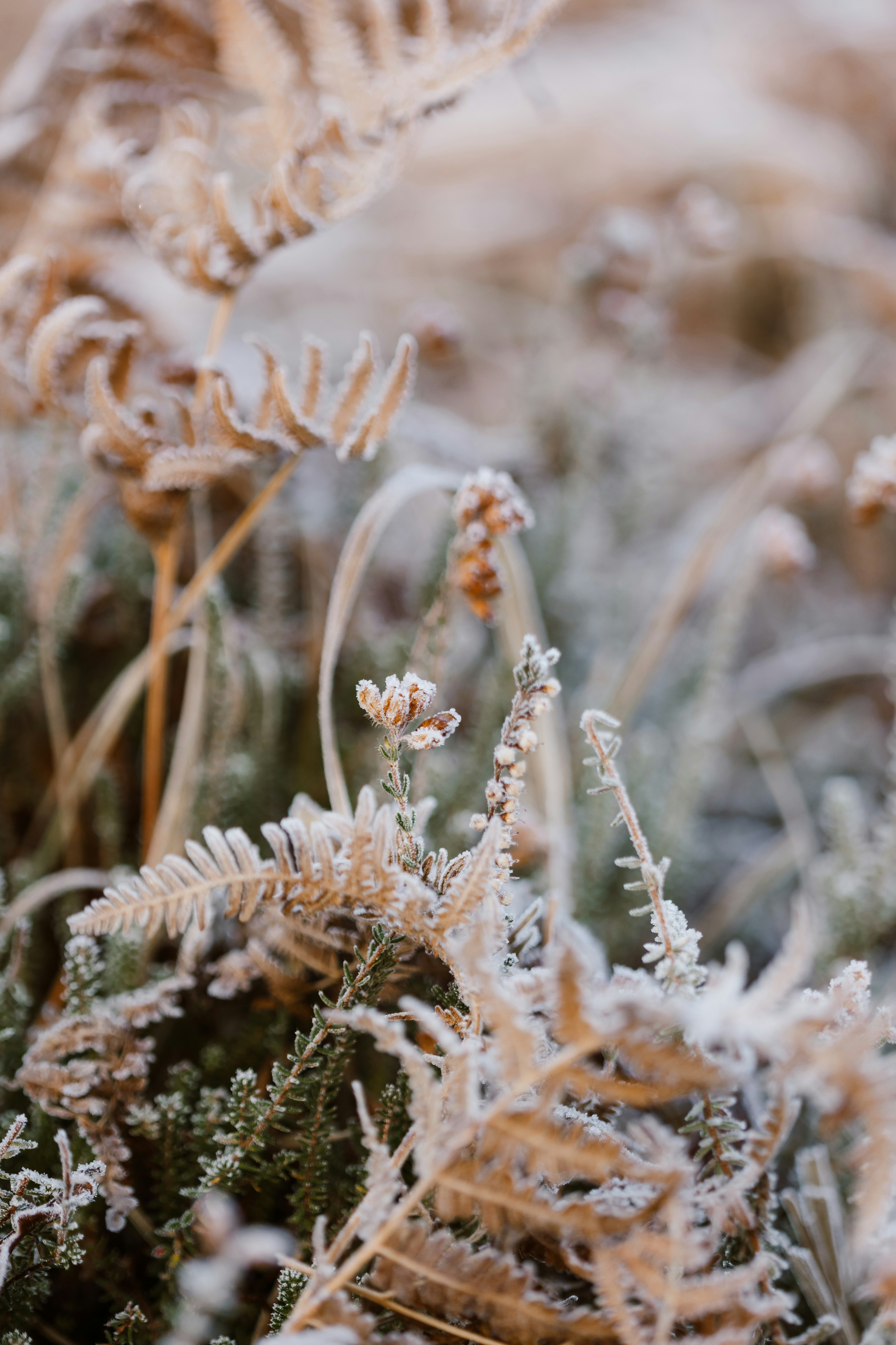 Photo by anniespratt