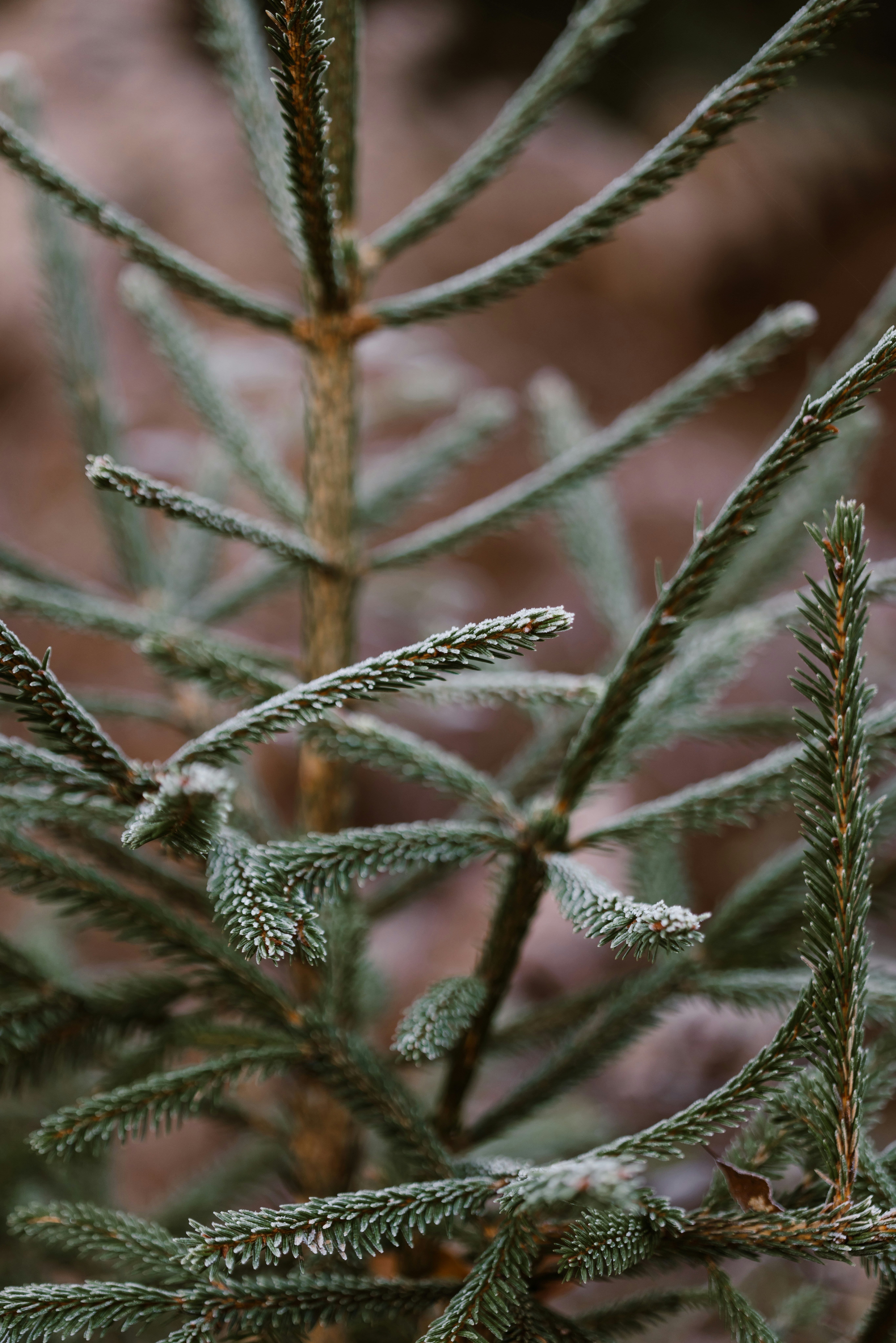 Photo by anniespratt