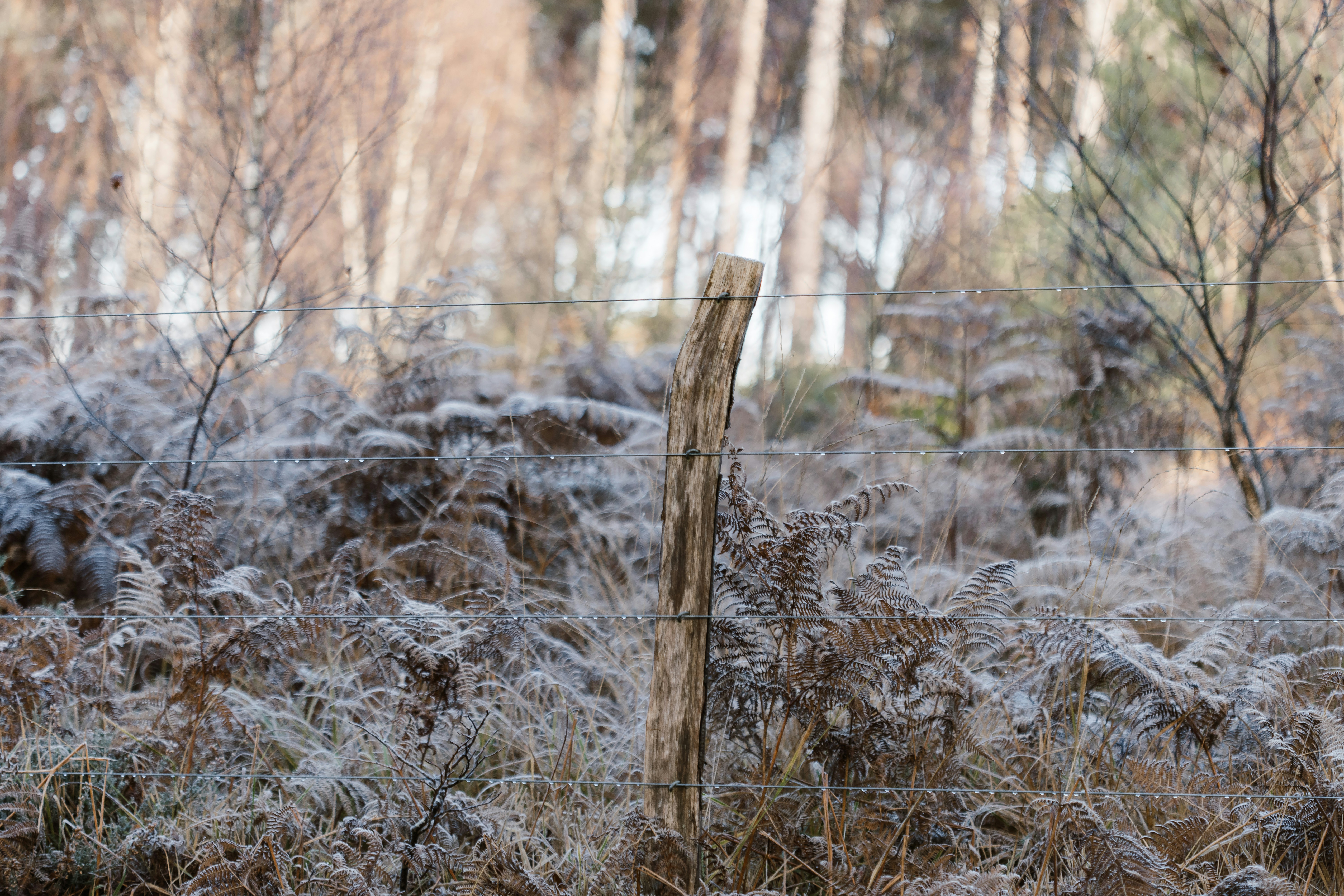 Photo by anniespratt