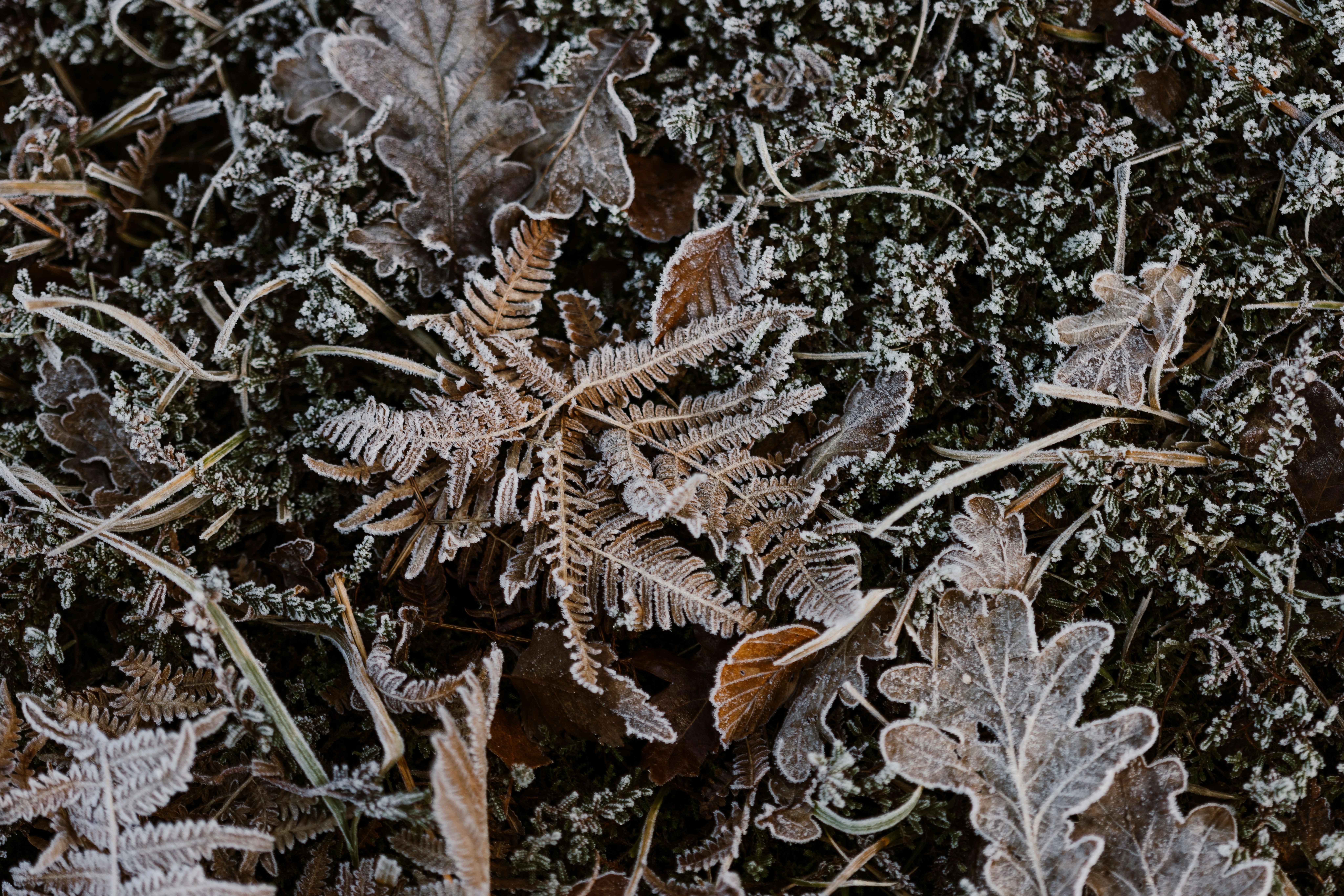 Photo by anniespratt