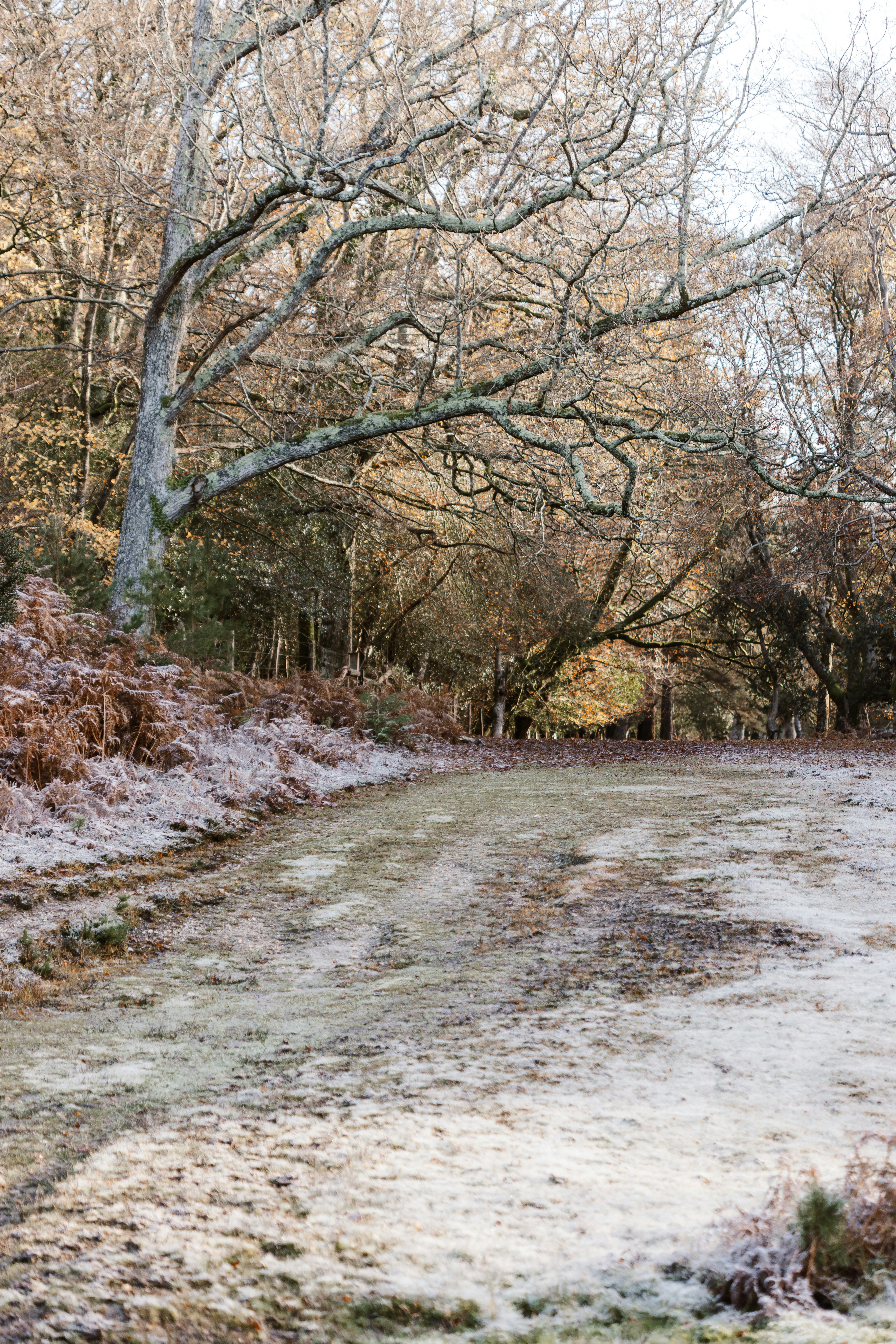 Photo by anniespratt