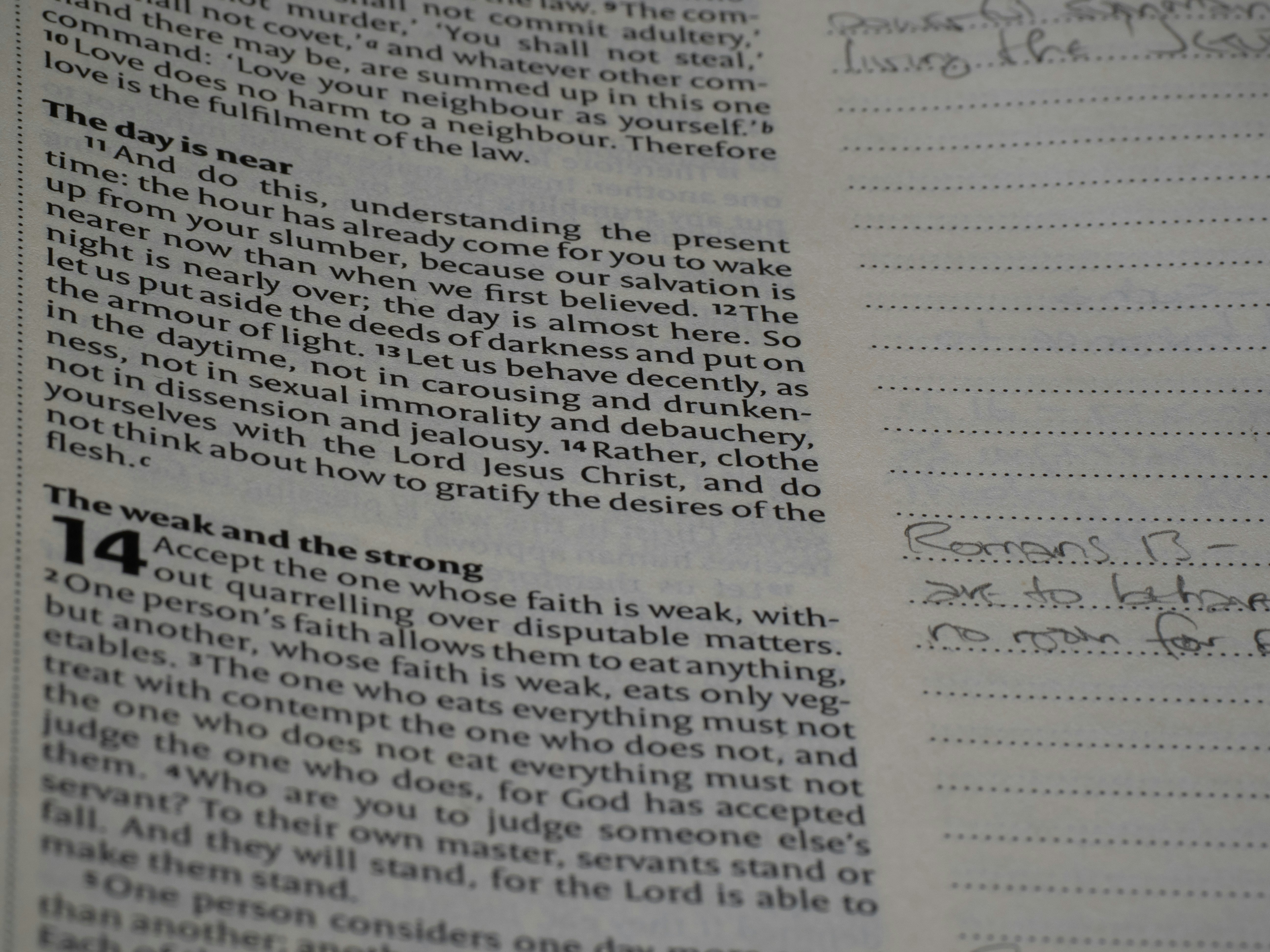 Photo by brett_jordan