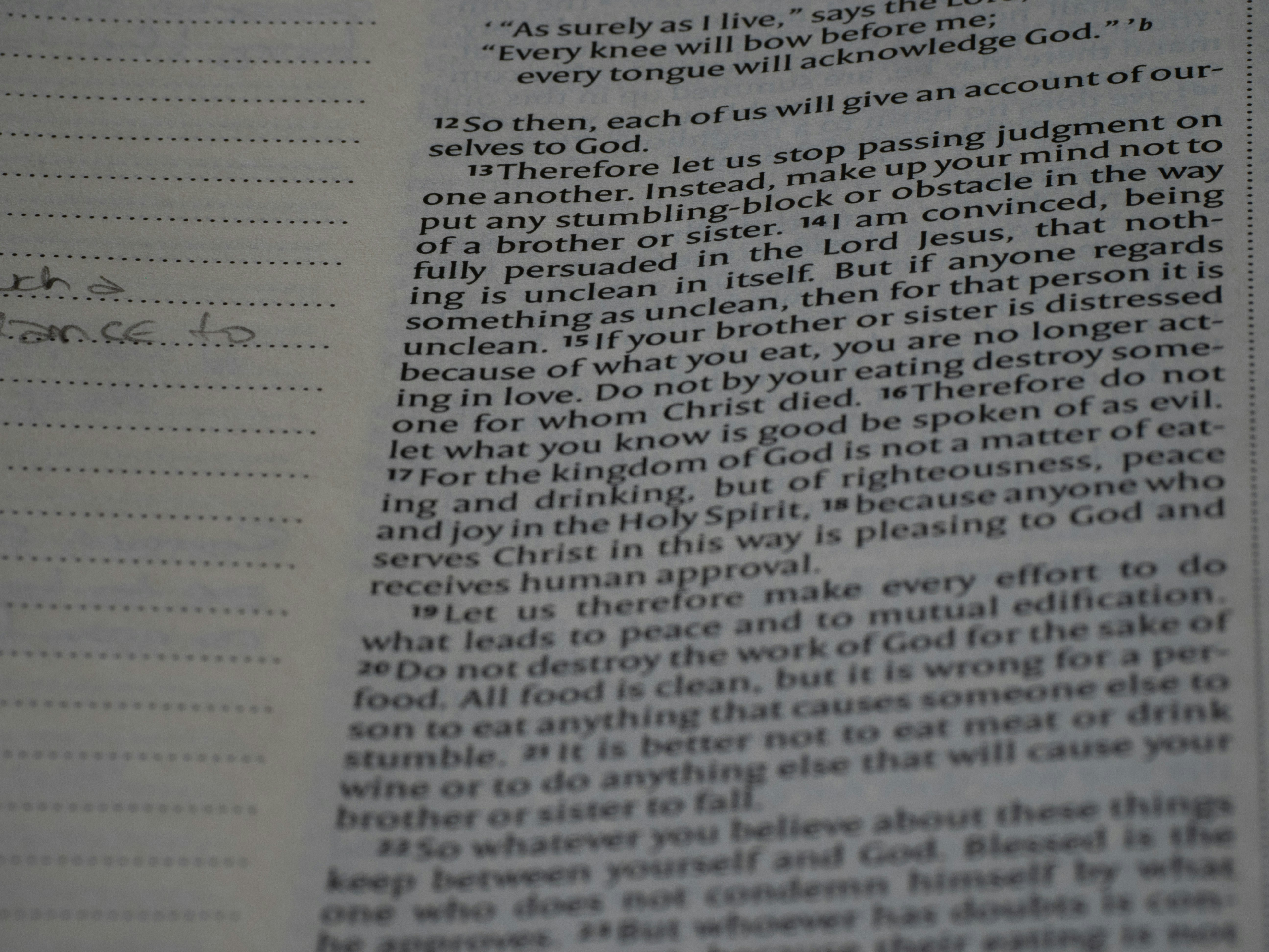 Photo by brett_jordan