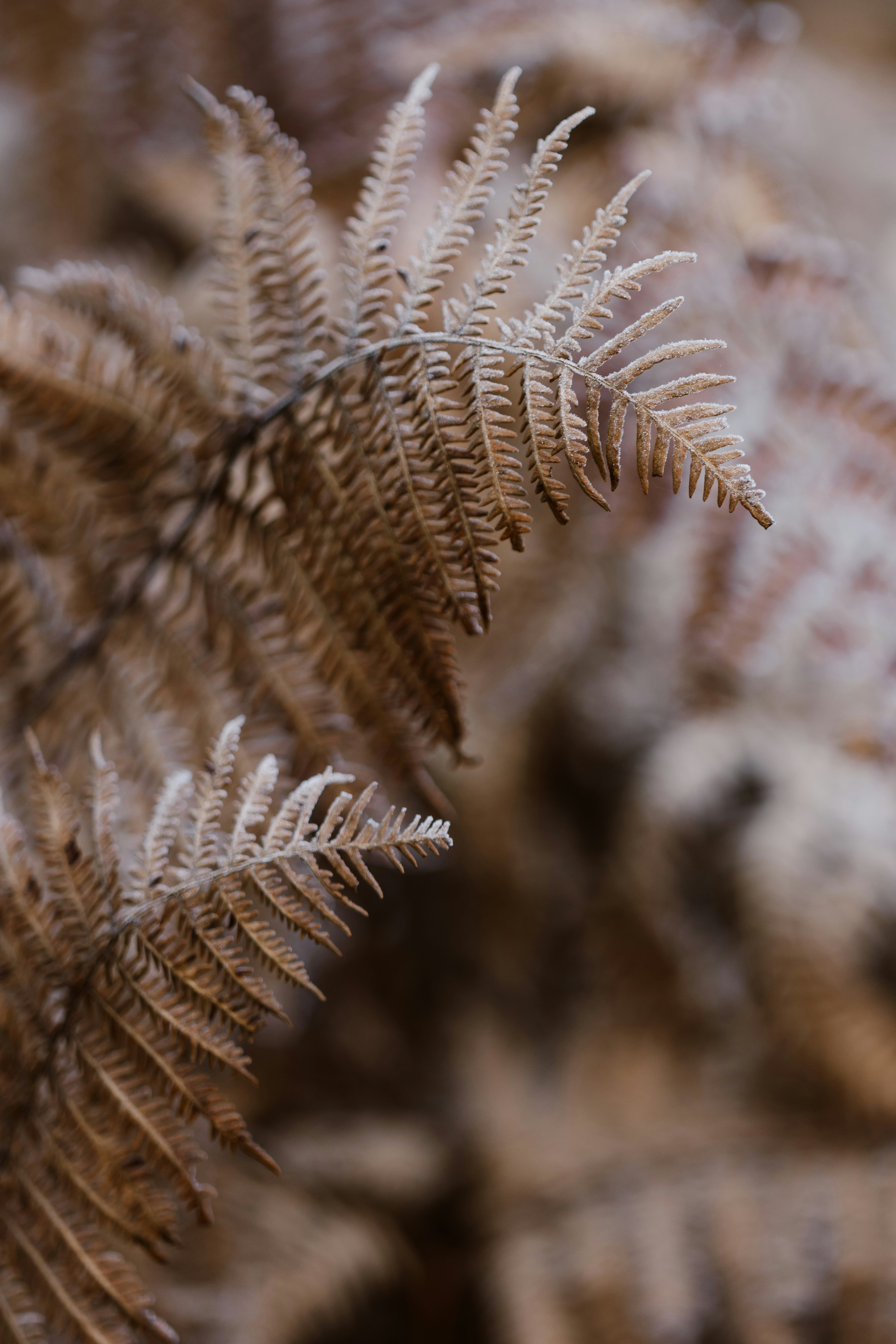 Photo by anniespratt