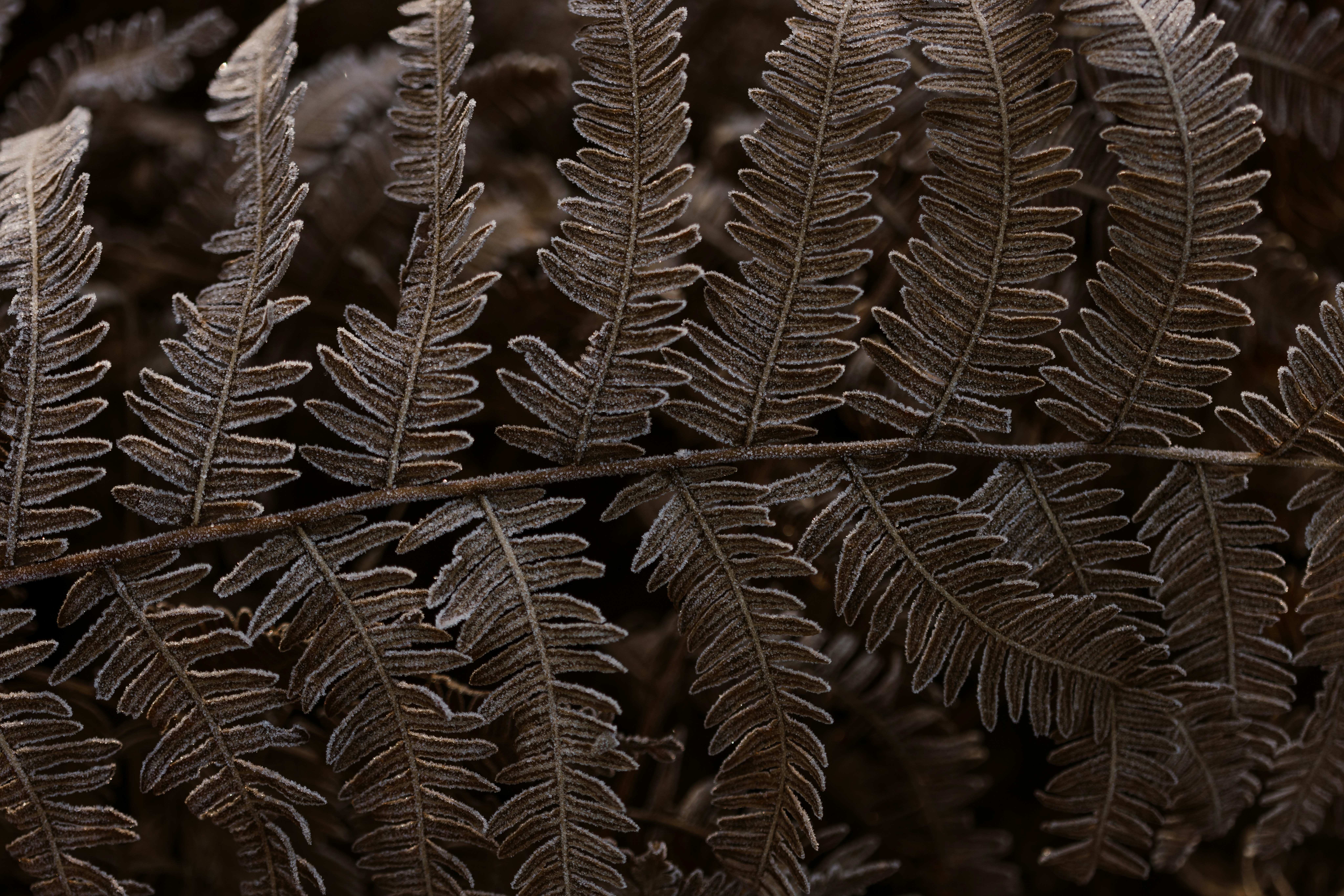 Photo by anniespratt