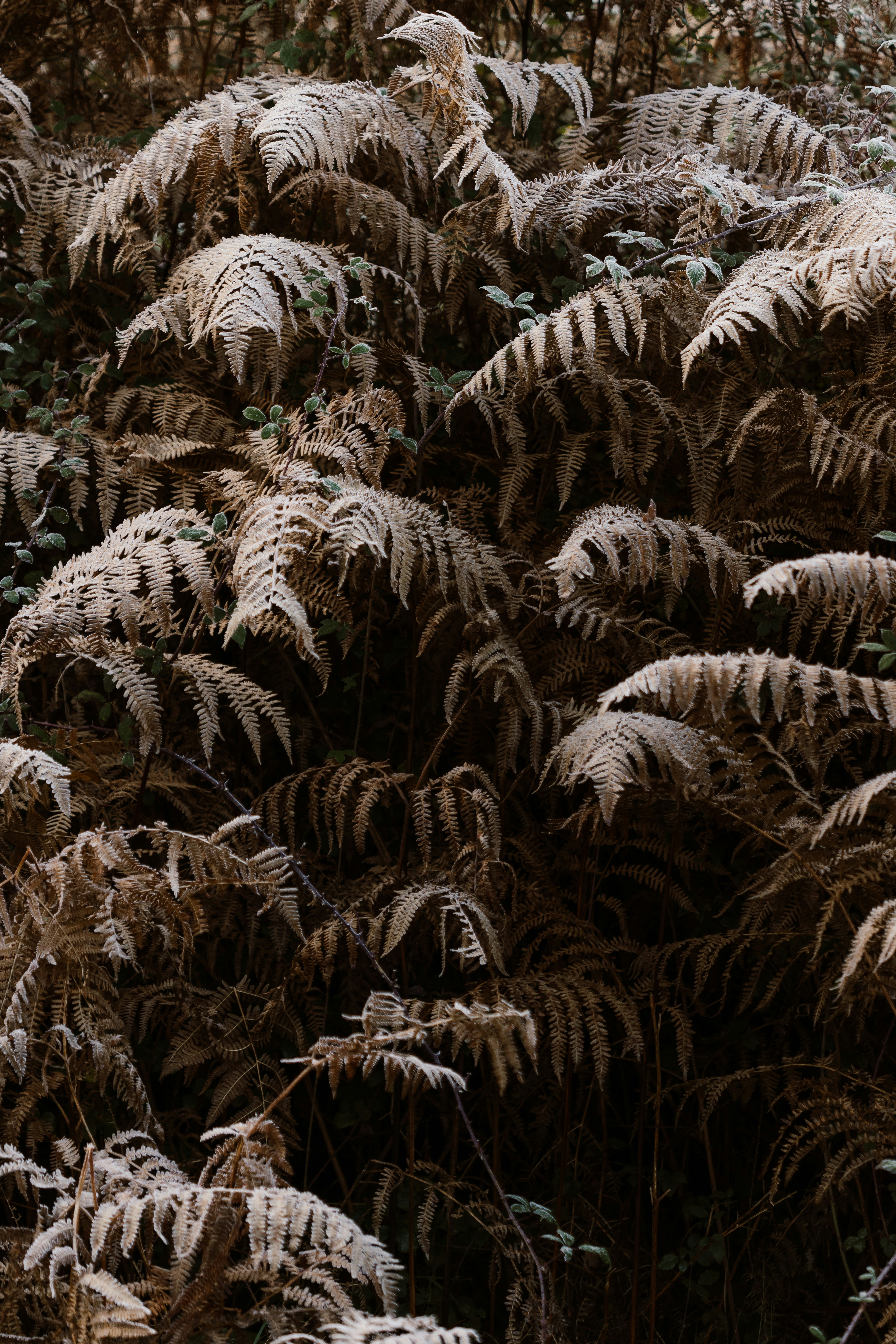 Photo by anniespratt