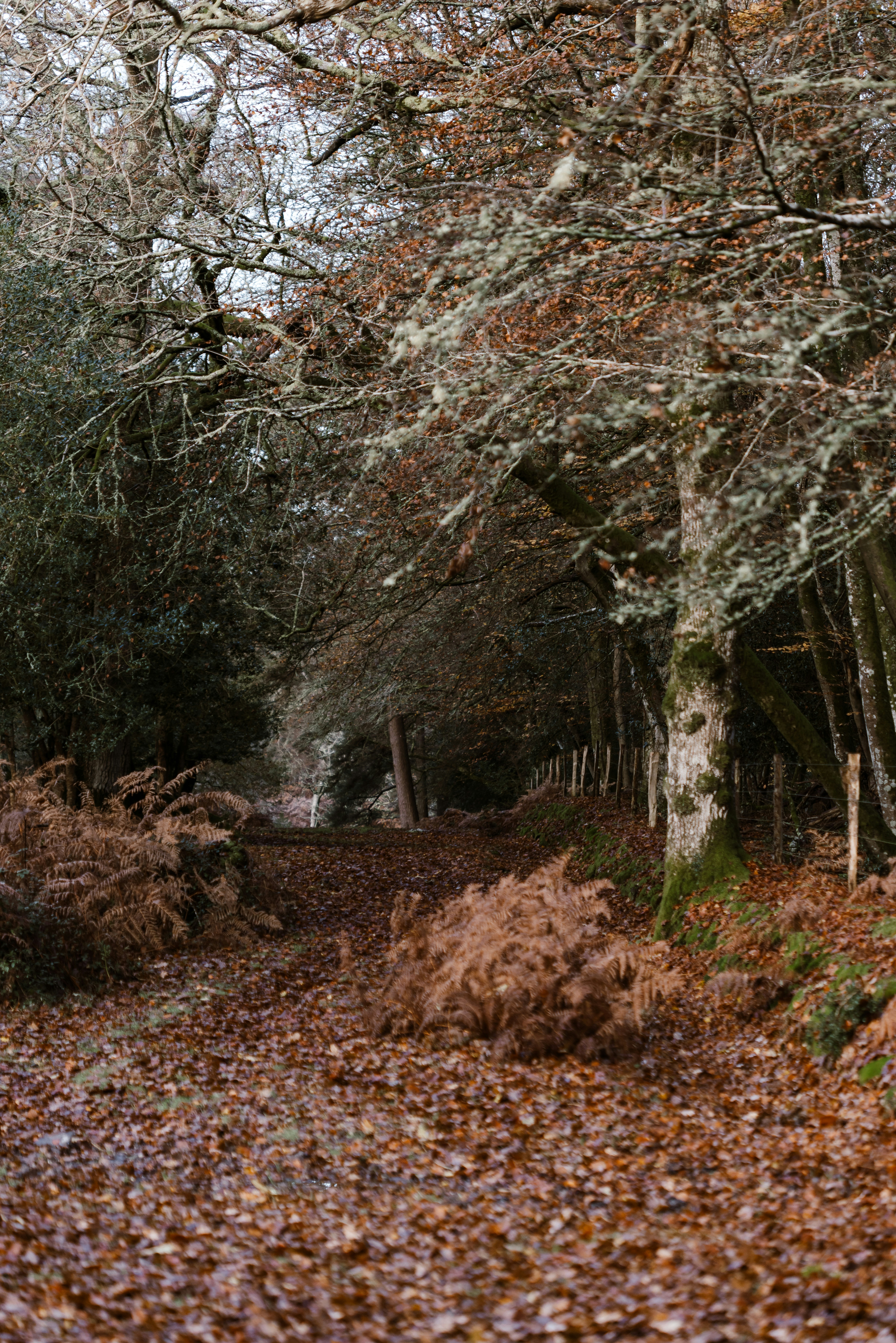 Photo by anniespratt