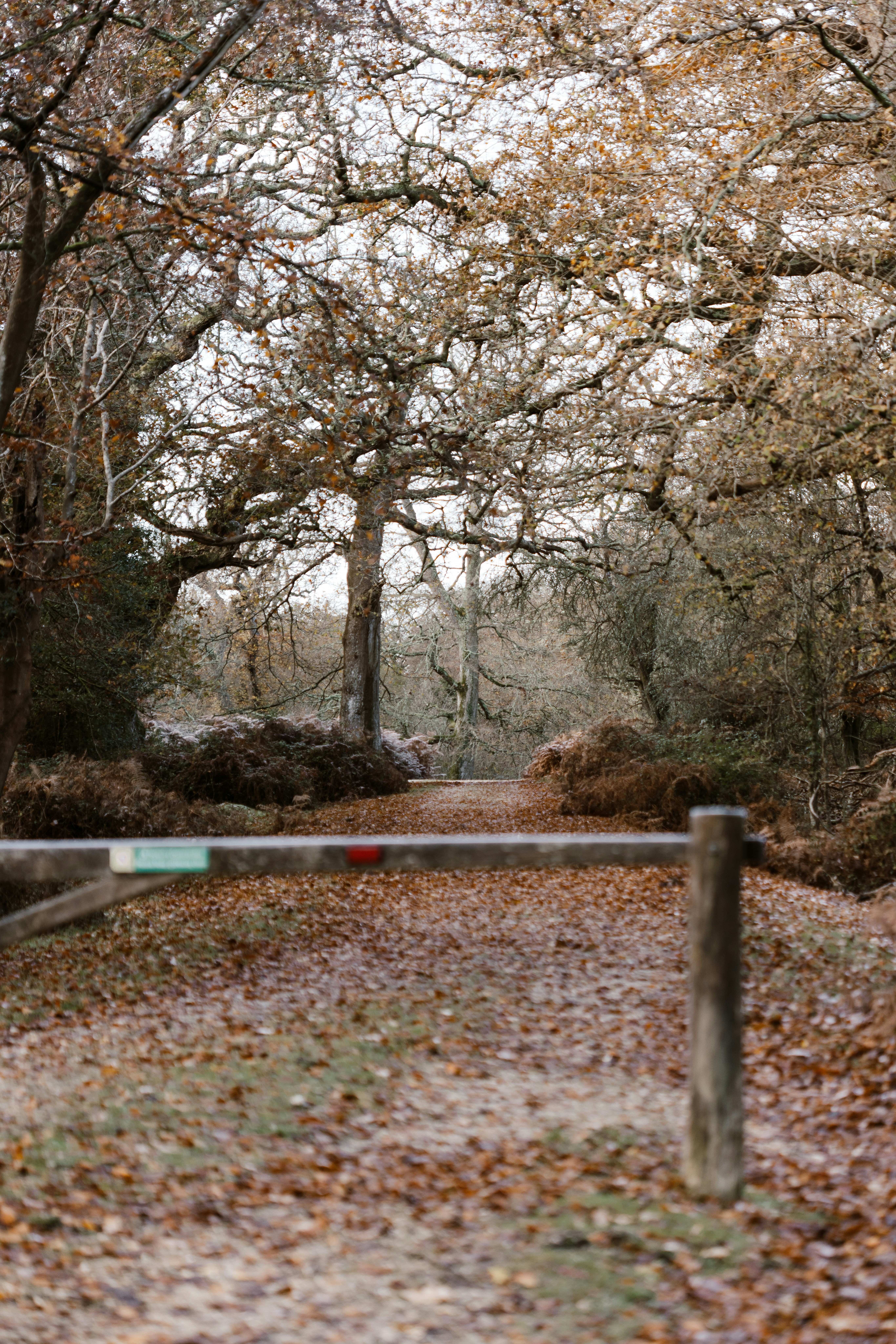 Photo by anniespratt