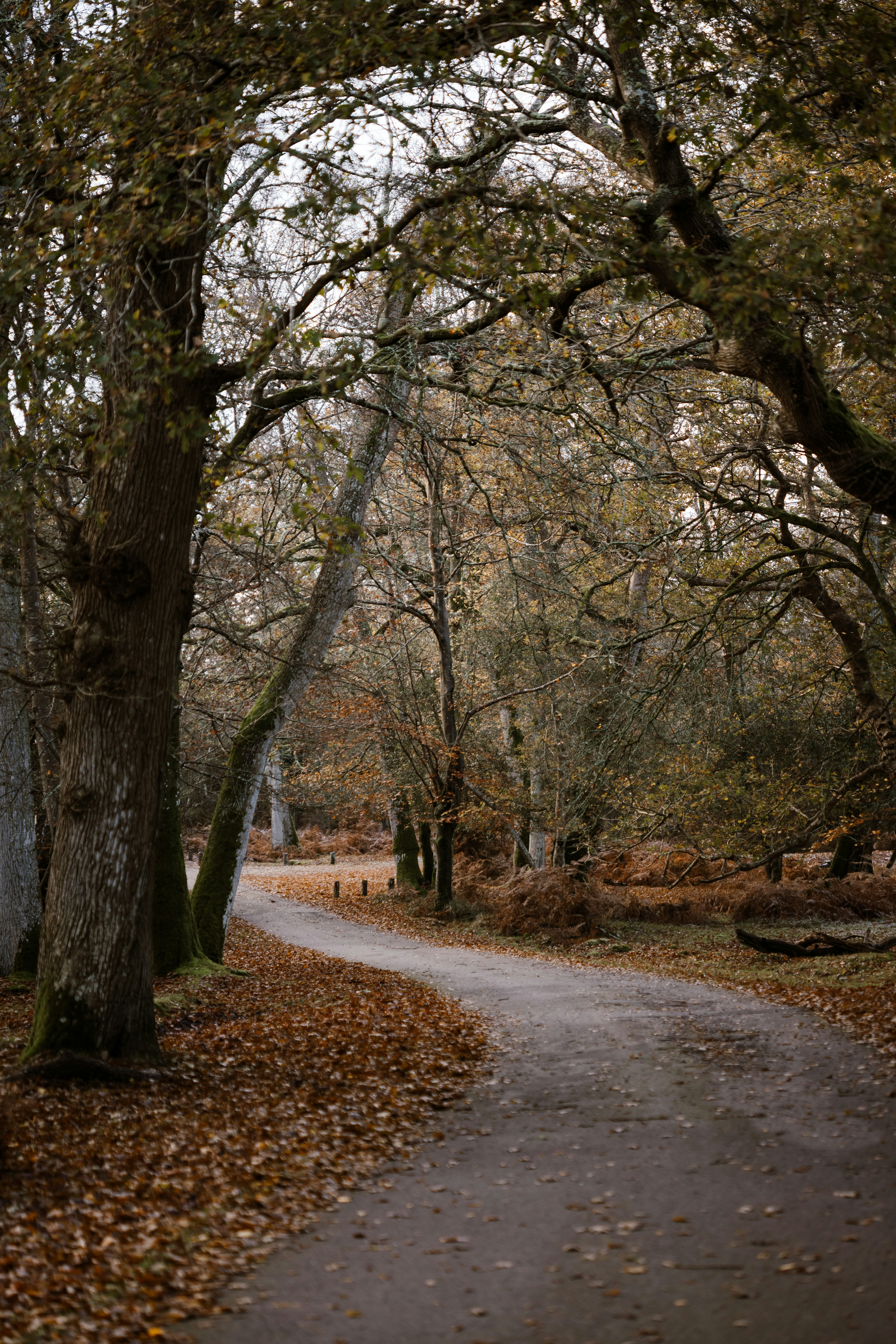 Photo by anniespratt