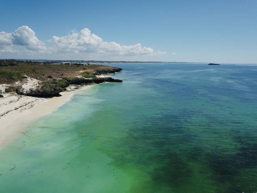 Aerial view of the beach and turquoise ocean at Watamu
