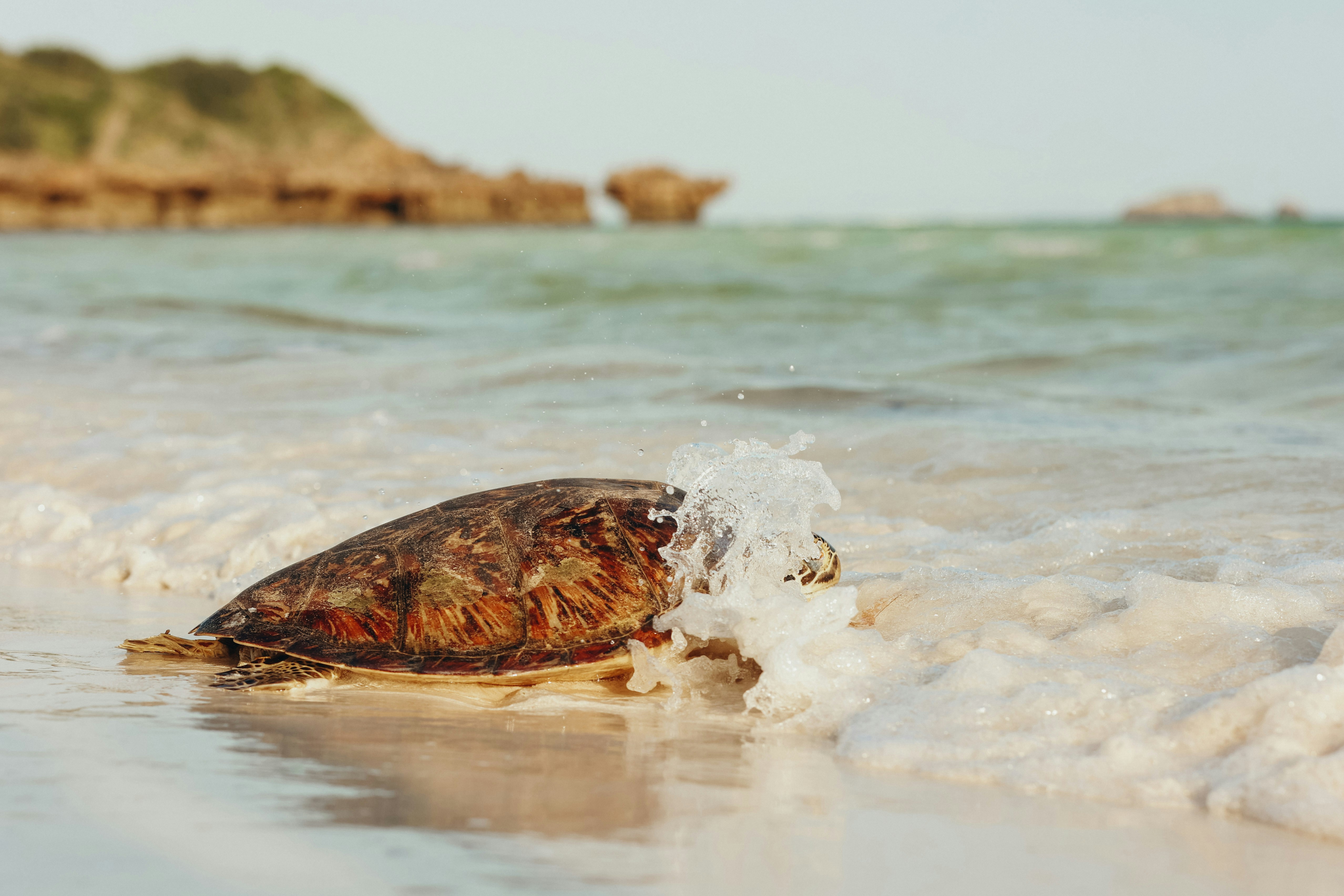 Photo by buluu_p0ppy