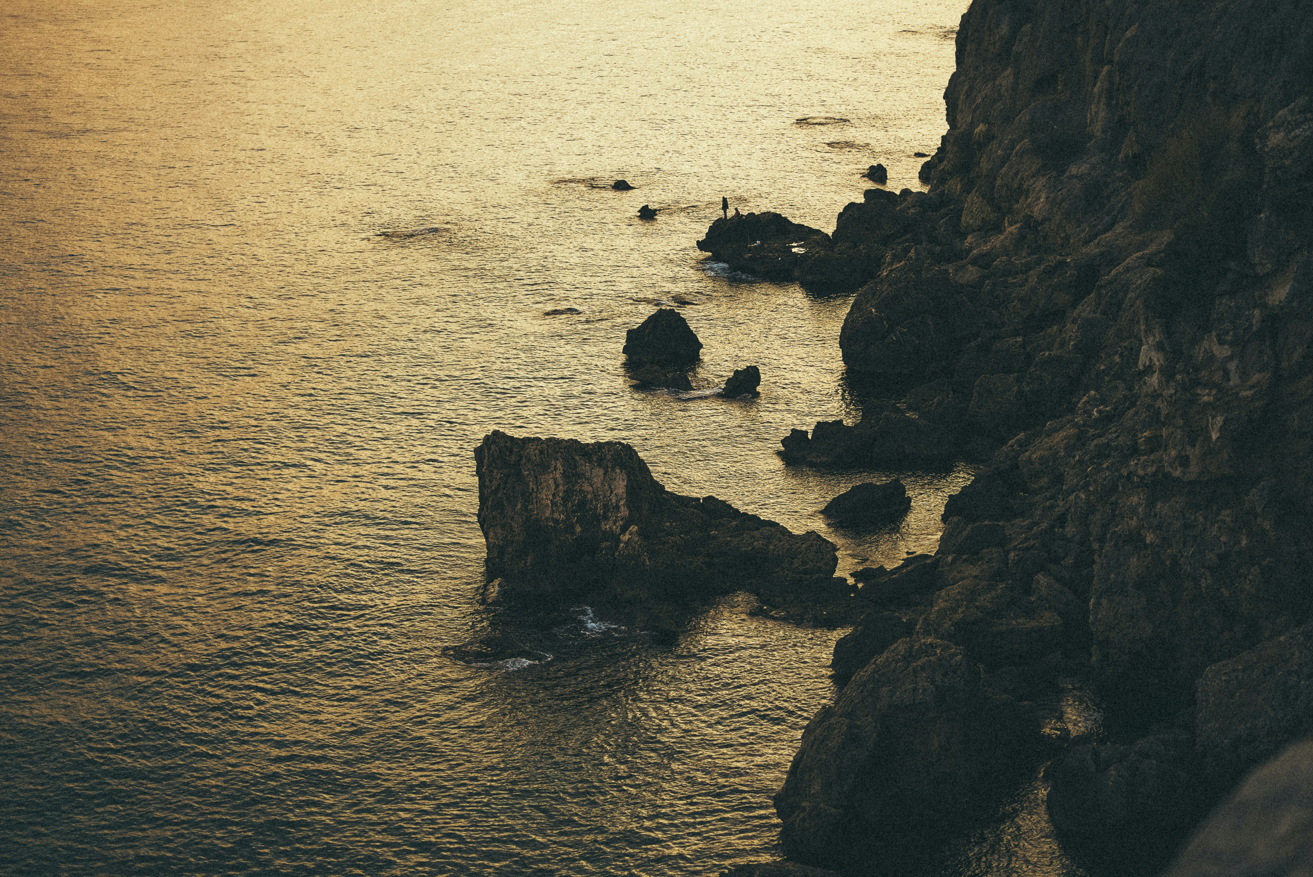 Photo by ardacankuru