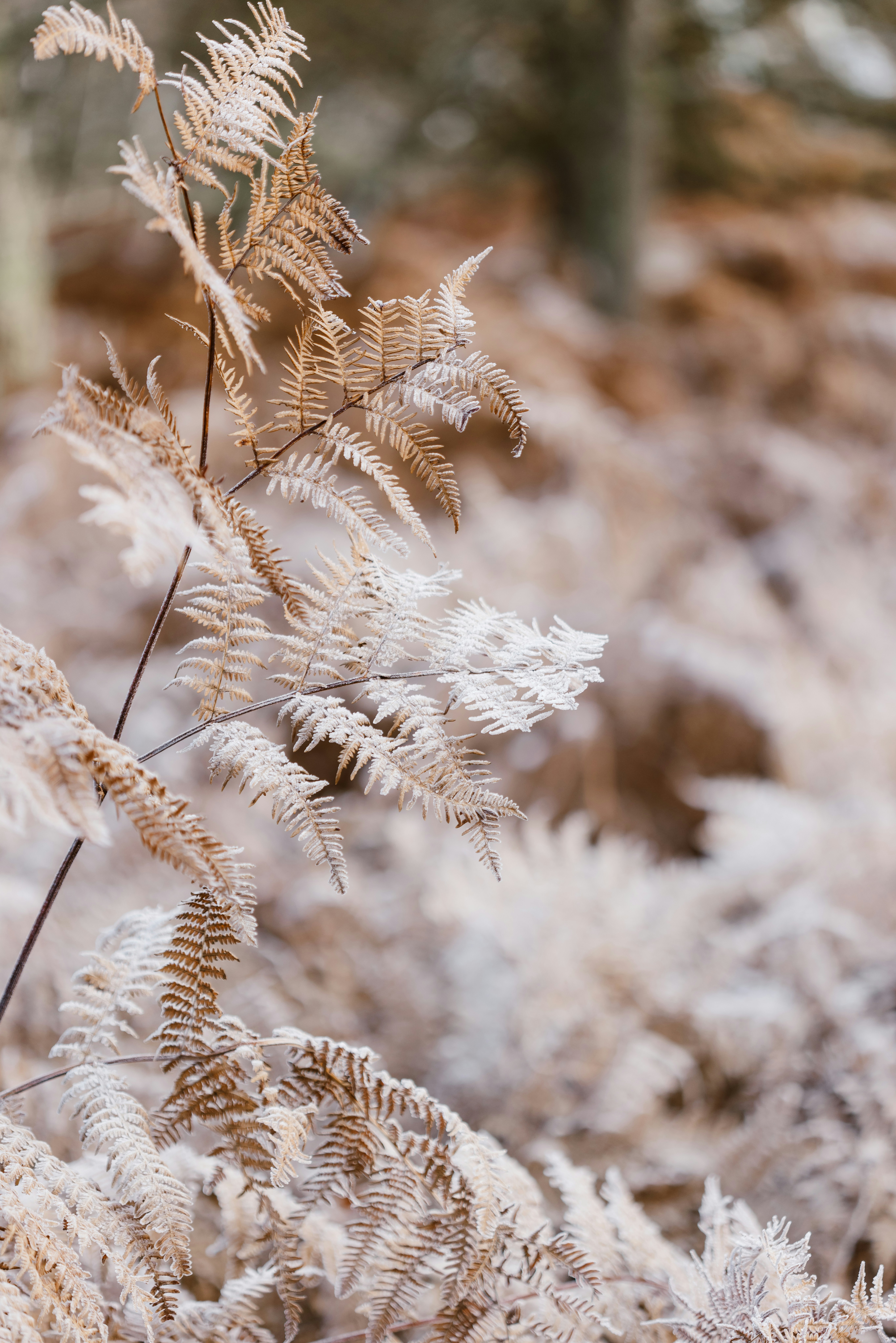 Photo by anniespratt