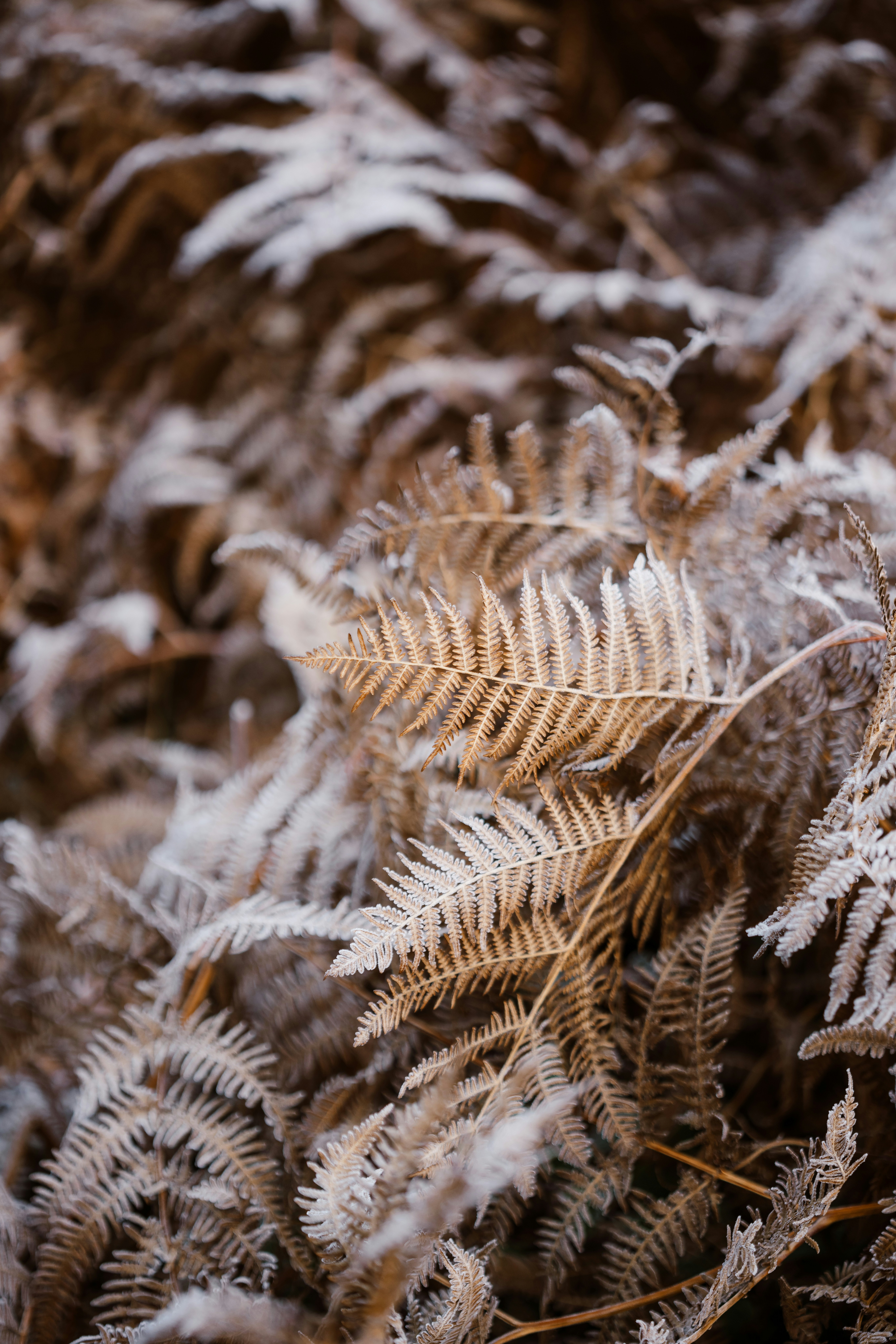 Photo by anniespratt