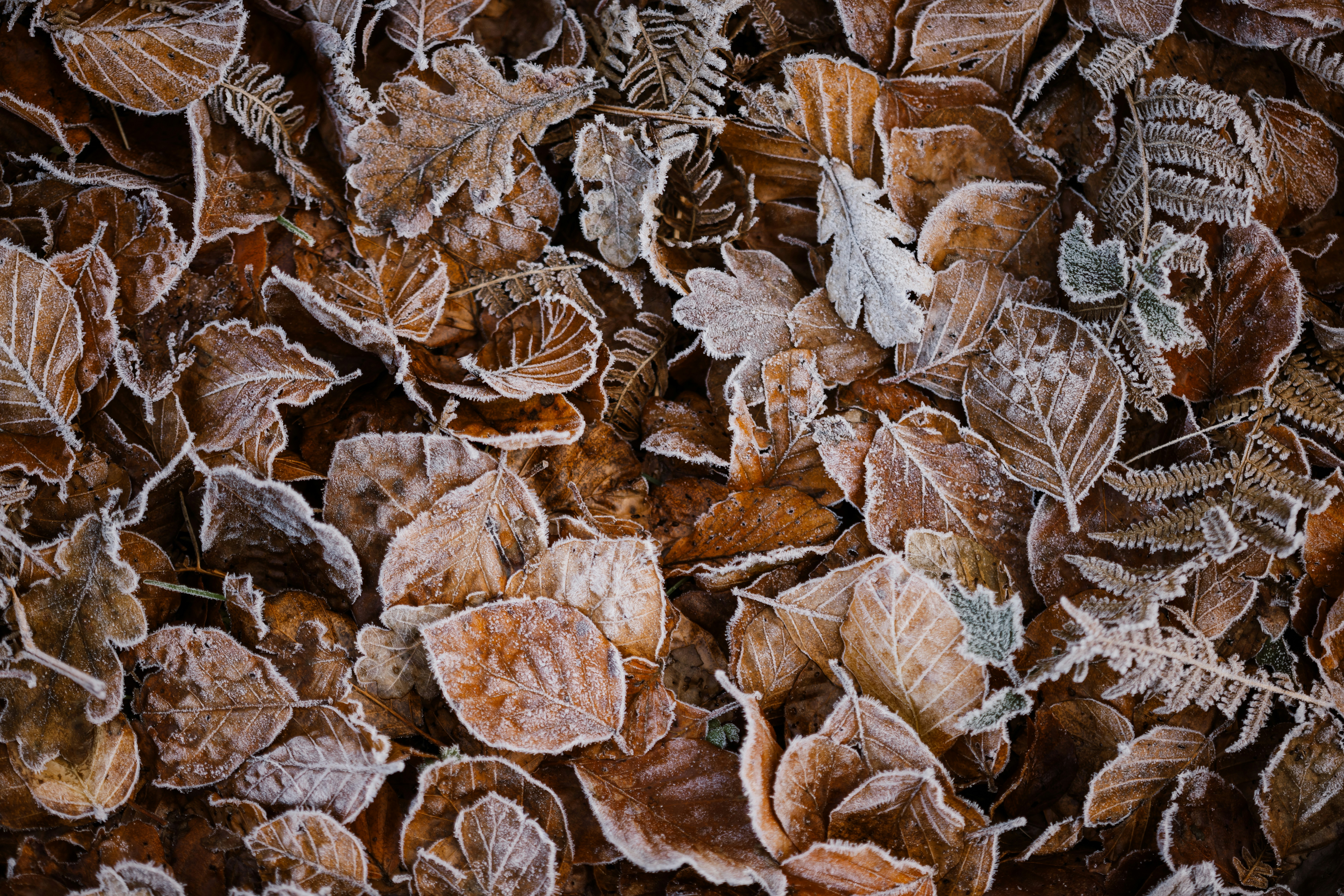 Photo by anniespratt