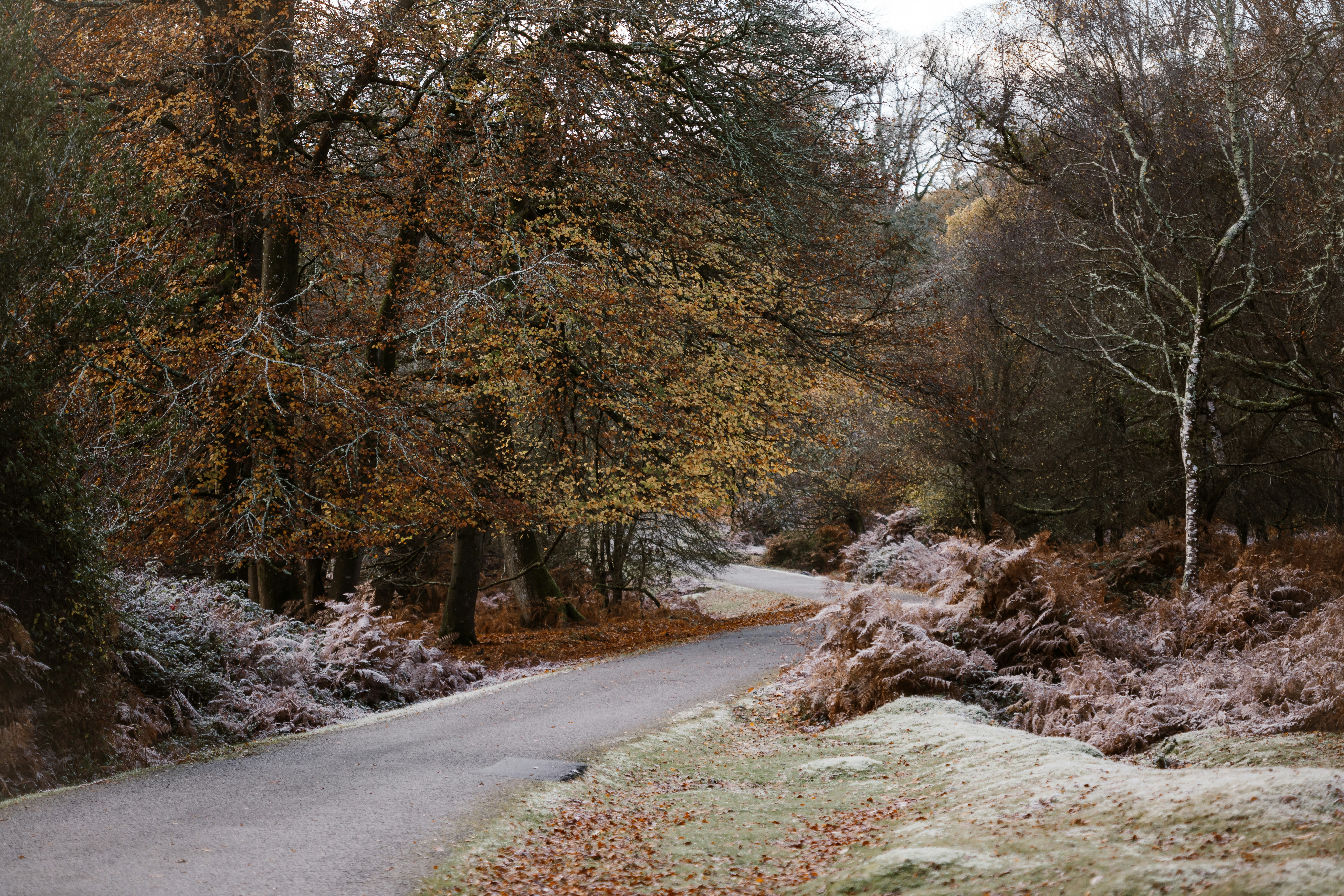 Photo by anniespratt