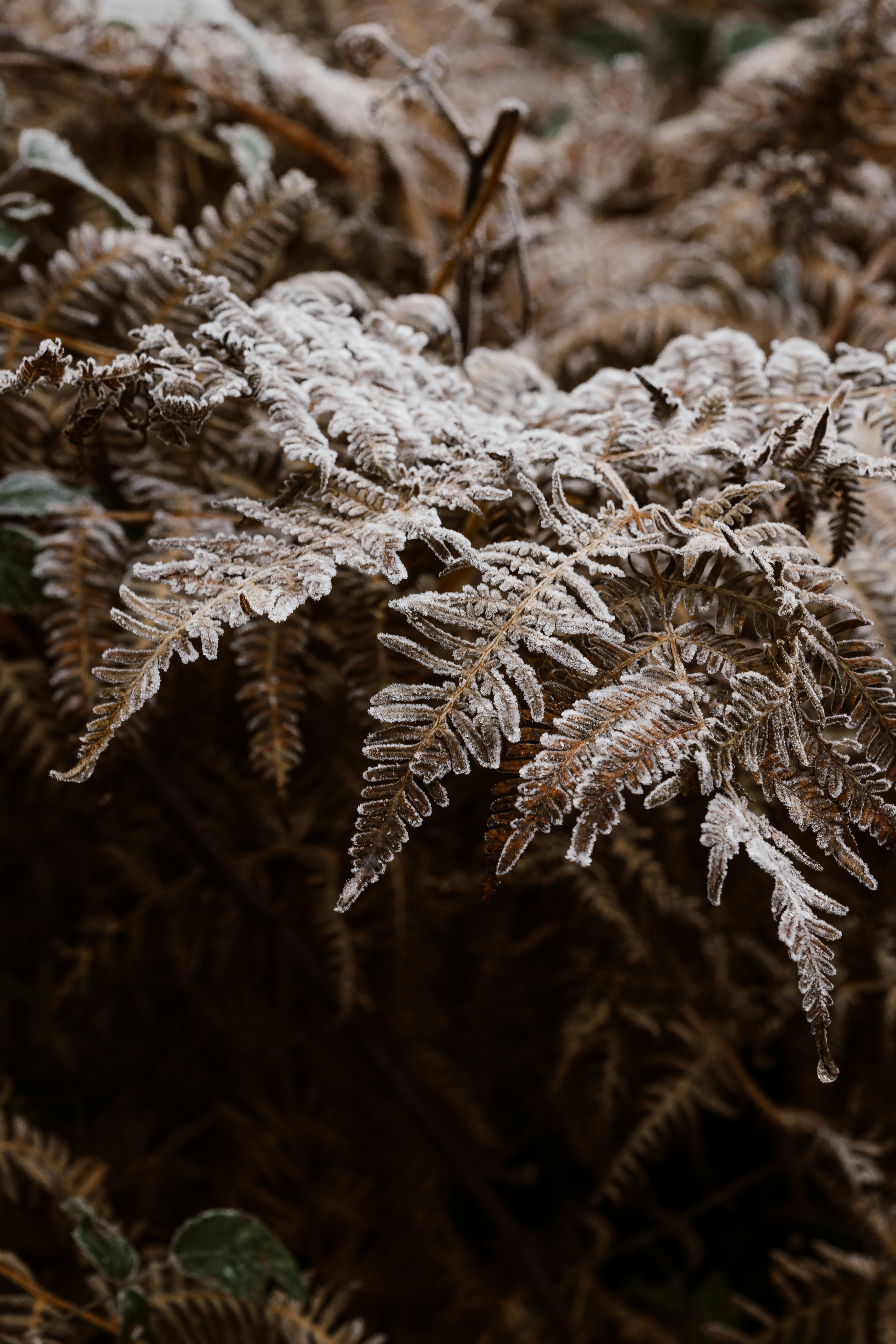 Photo by anniespratt