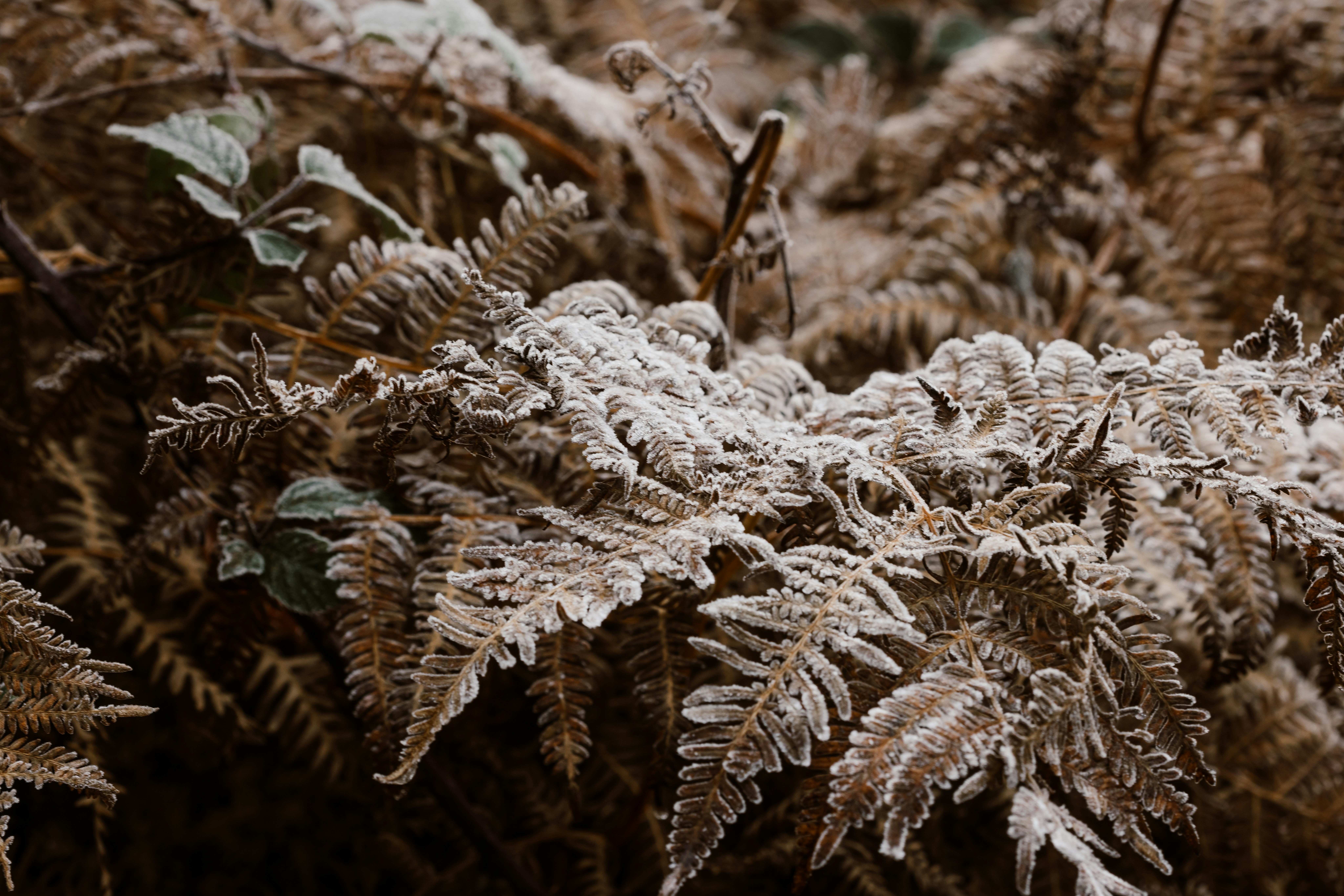 Photo by anniespratt