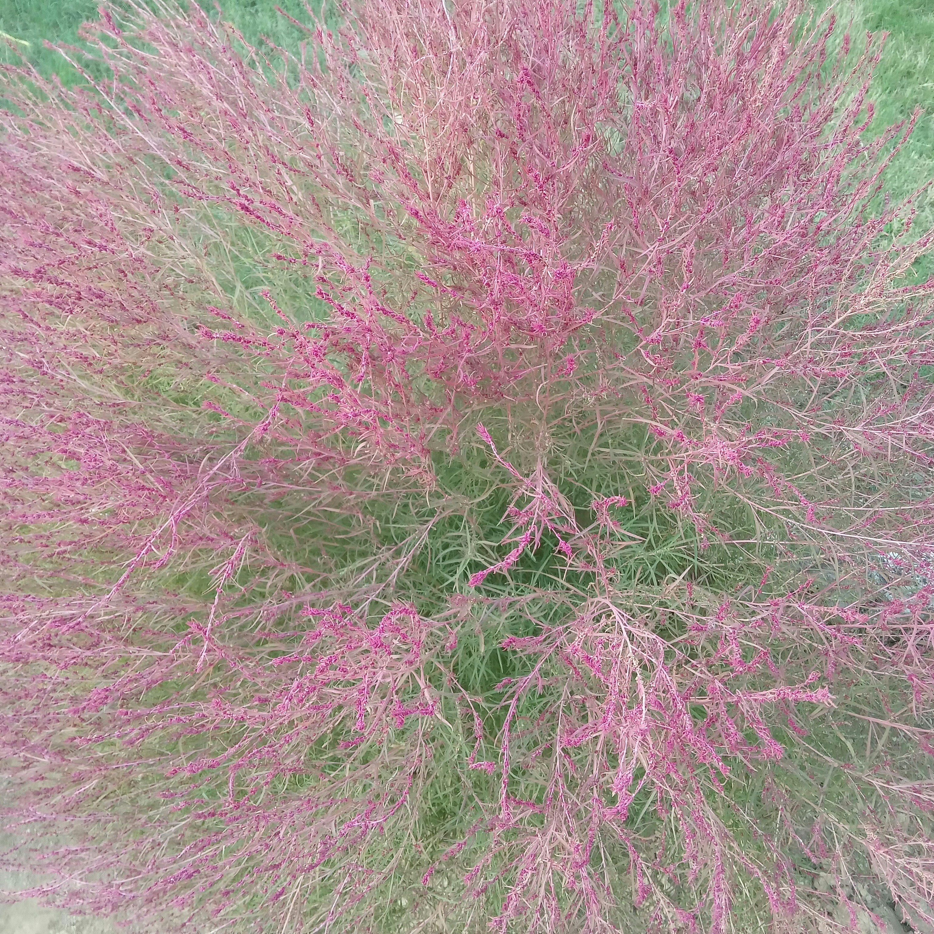 Riaz Khilji (@riazkhilji) | Unsplash Photo Community