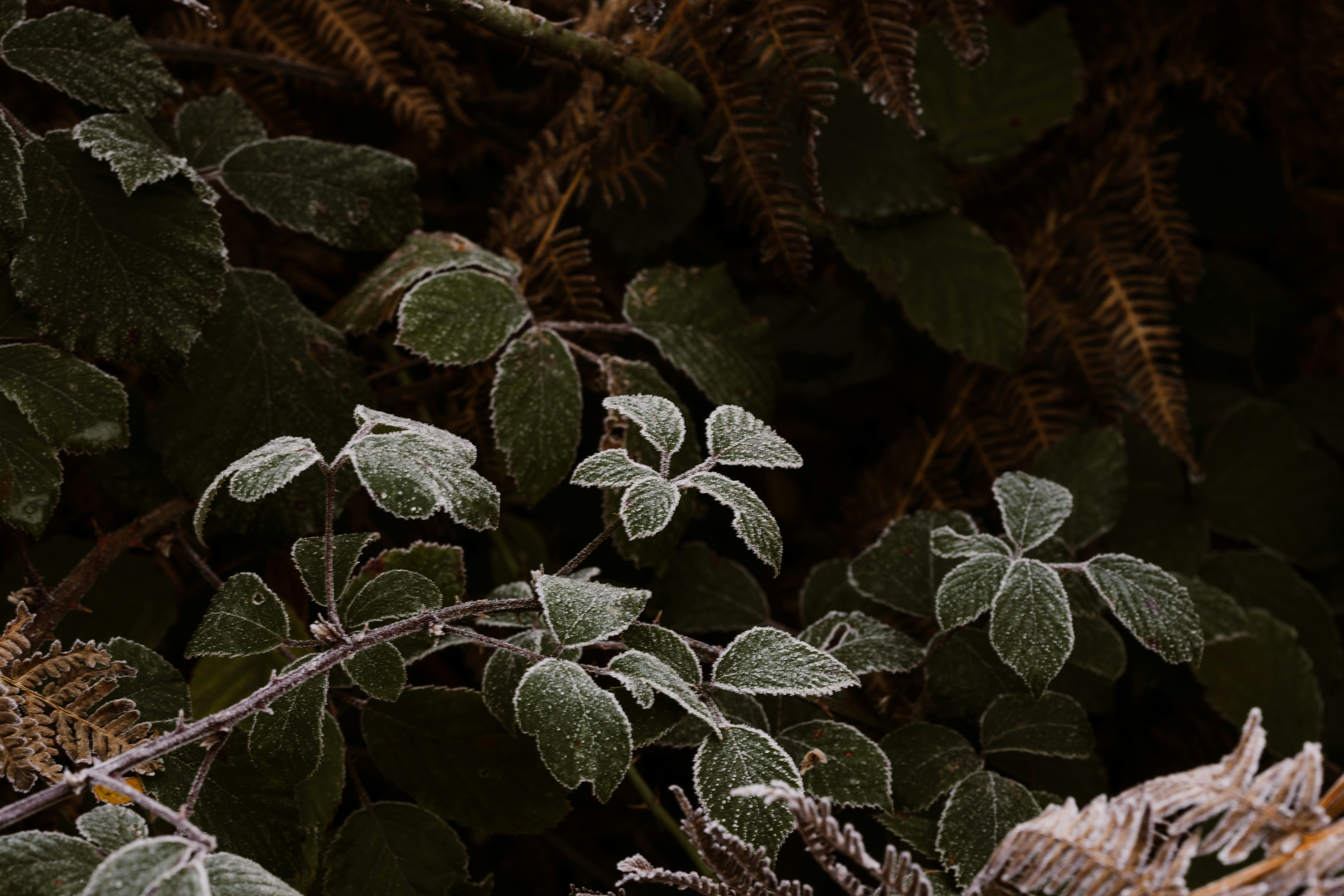 Photo by anniespratt
