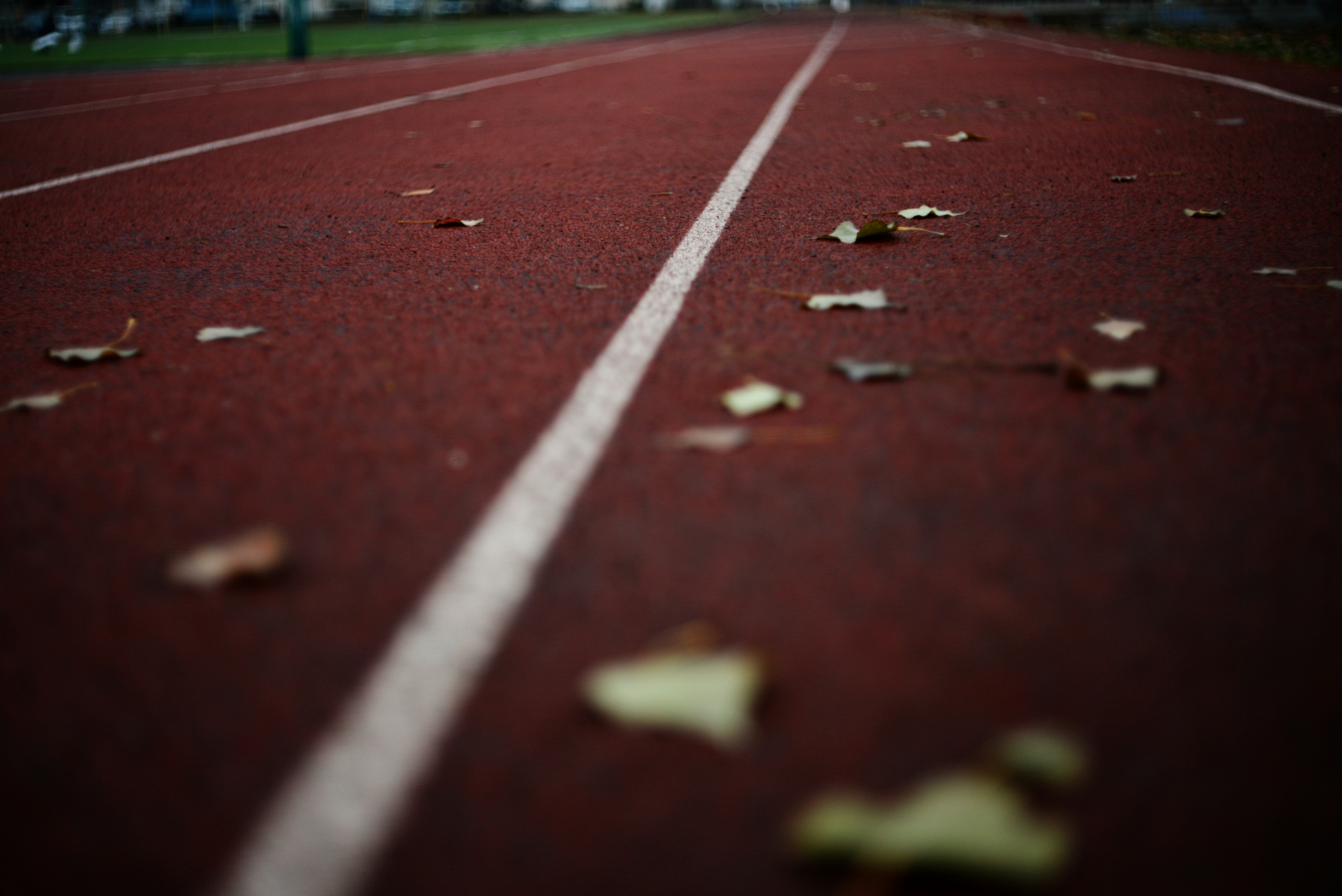 A tennis court with leaves on the ground