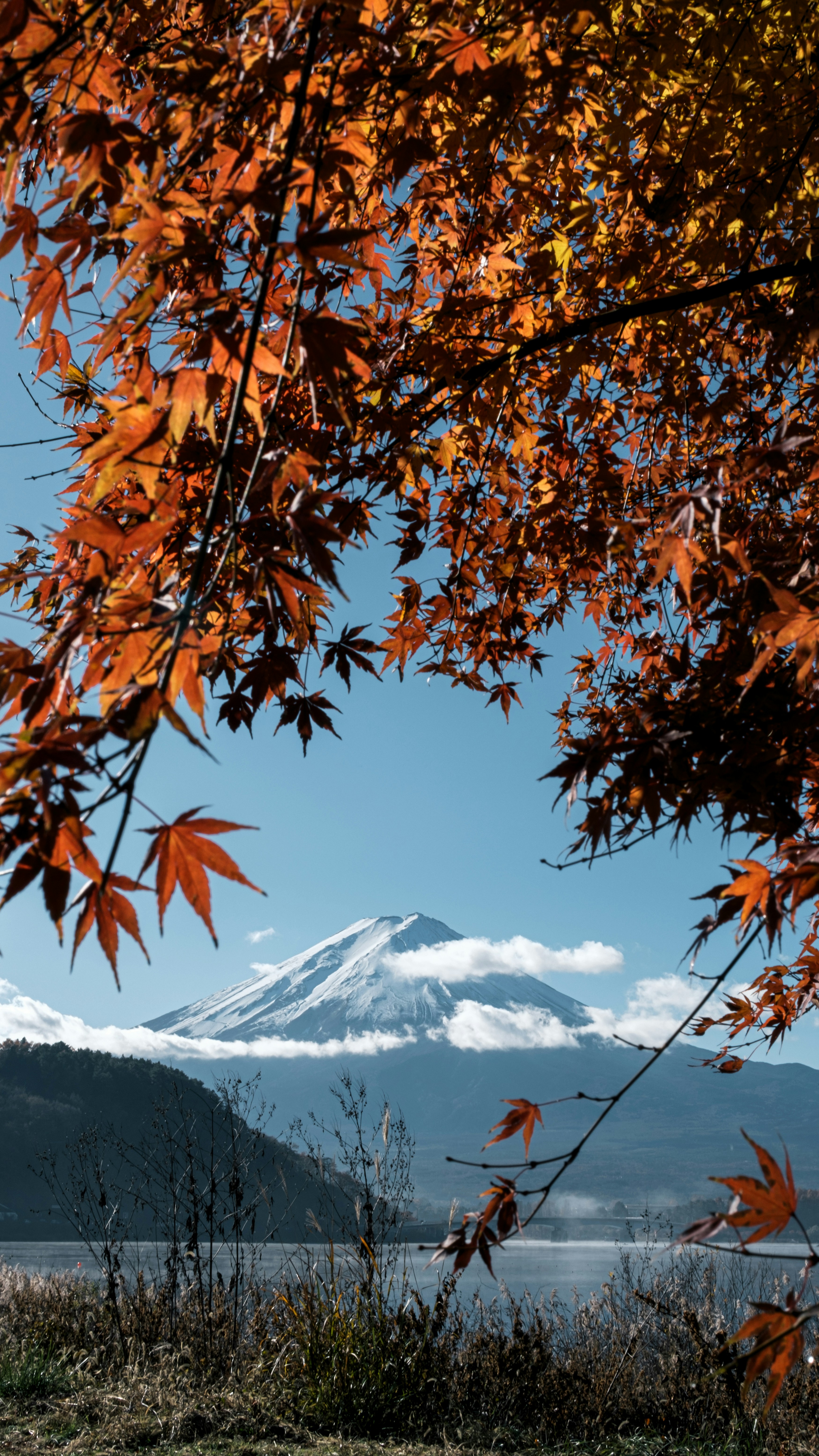 fall magc ing   秋の雪景色 Ubuyagasaki Autumn Scenes *** Fujifilm GFX100sii GF45-100mm