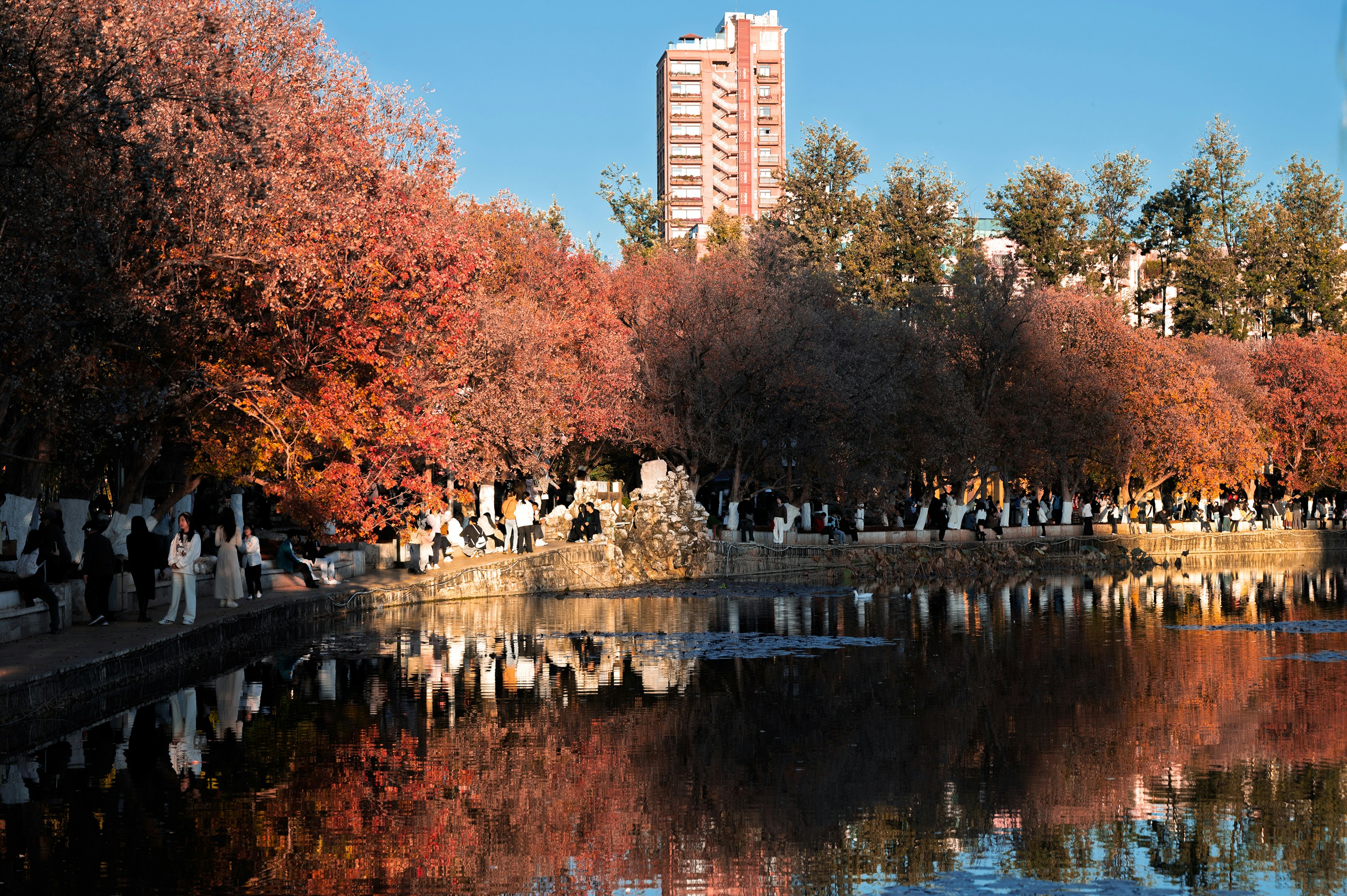 Photo by vincent_tint