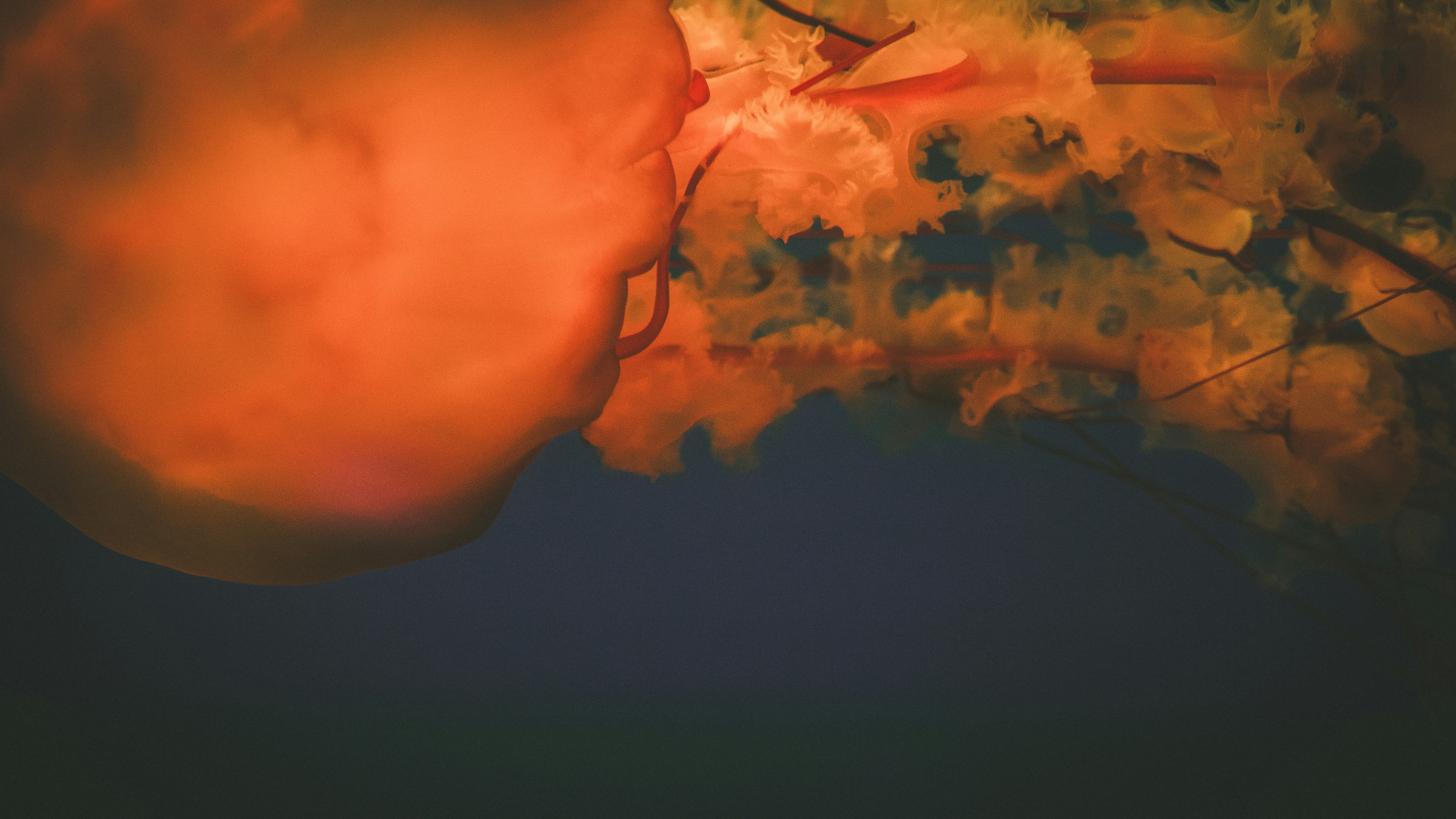 Photo by peek_a_boo_who