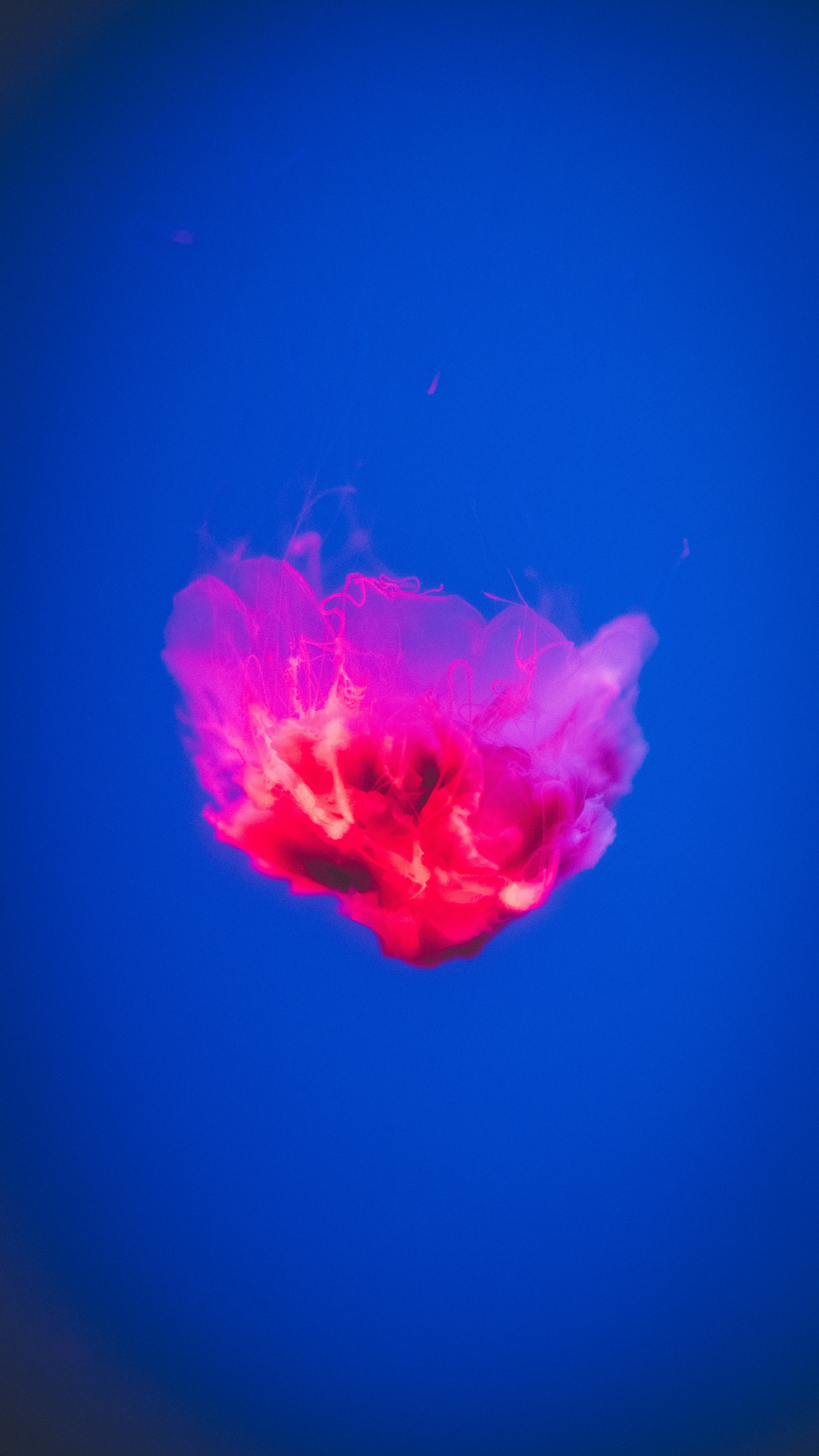 Photo by peek_a_boo_who