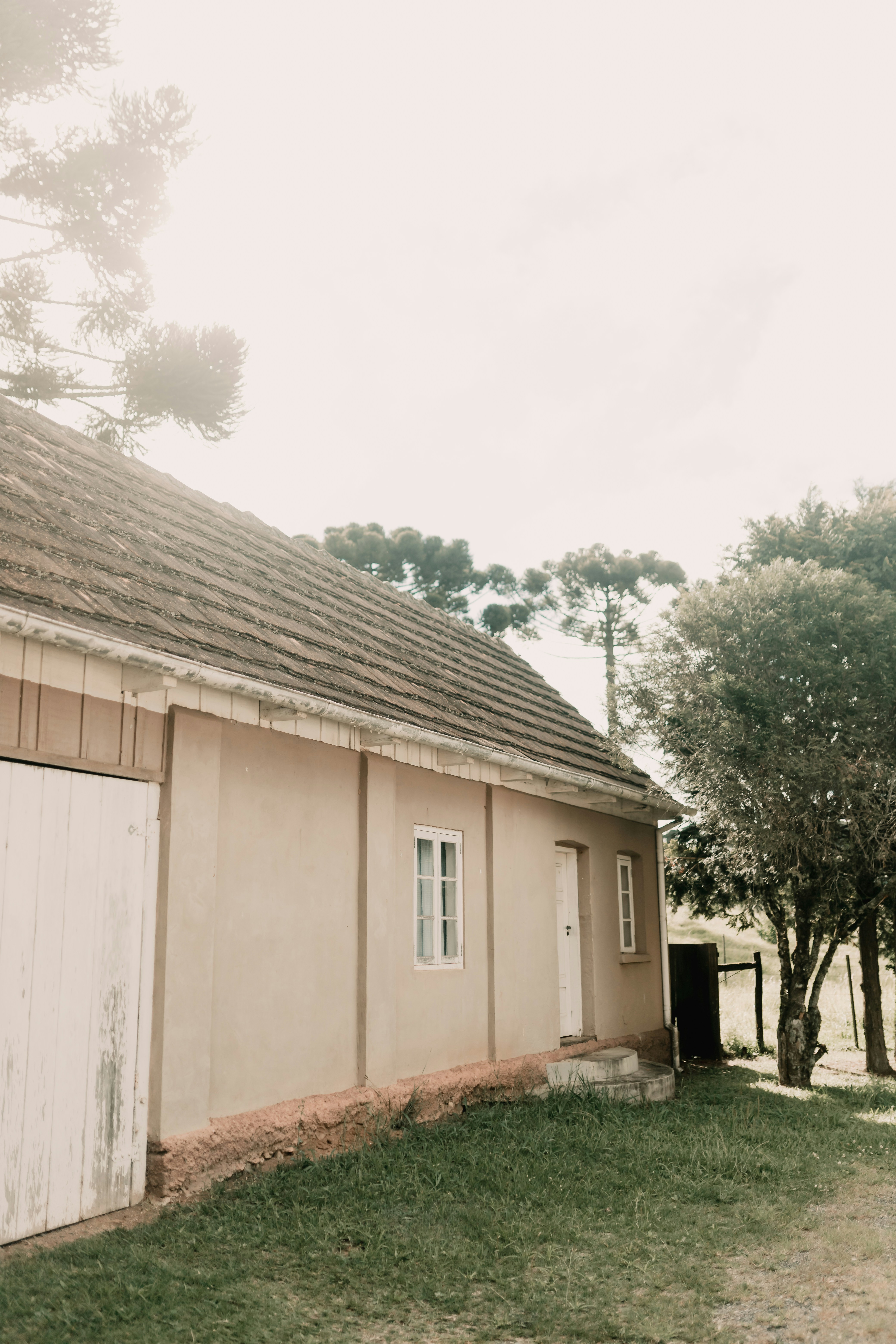 Photo by alexandermassph