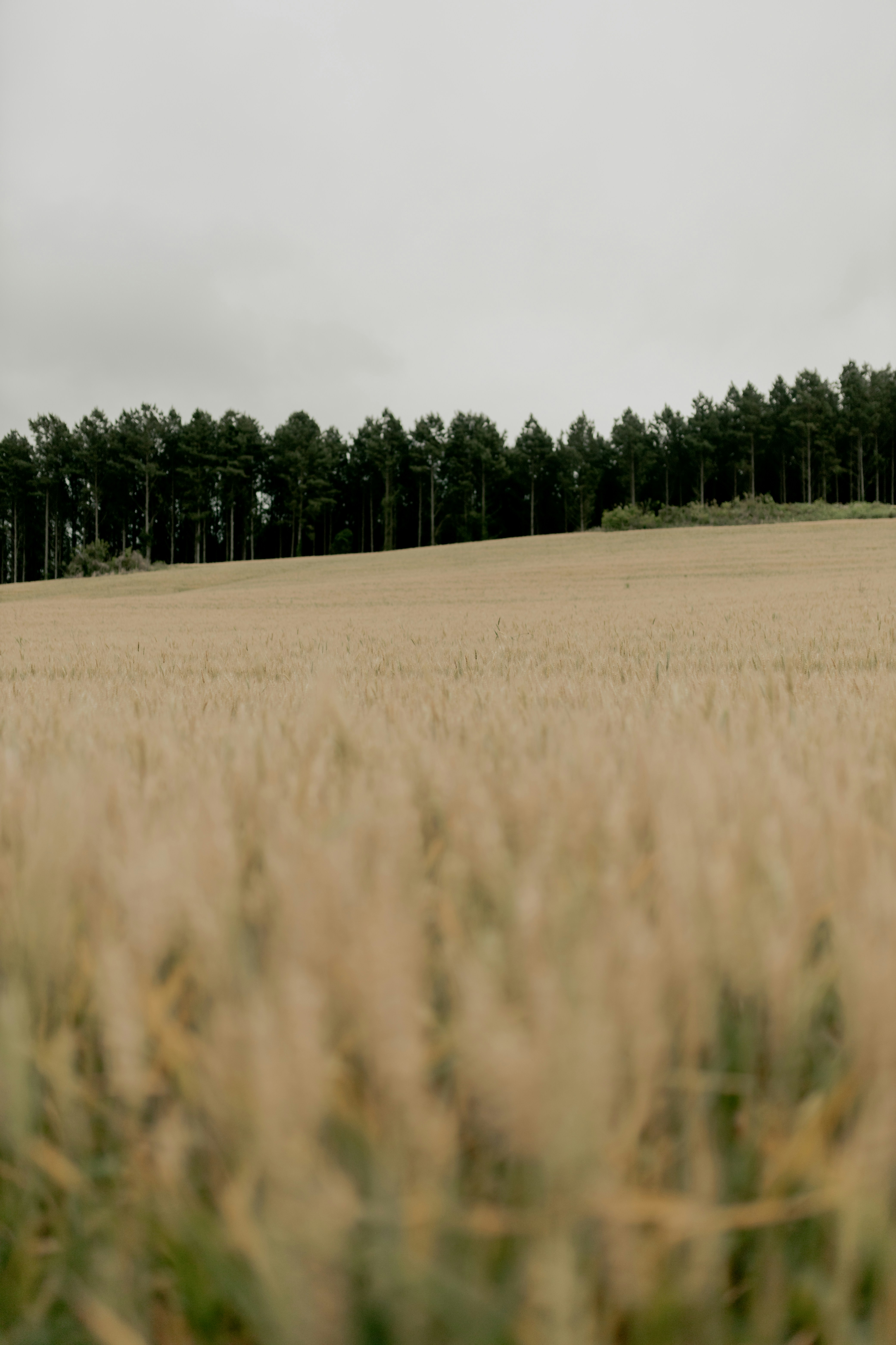 Photo by alexandermassph