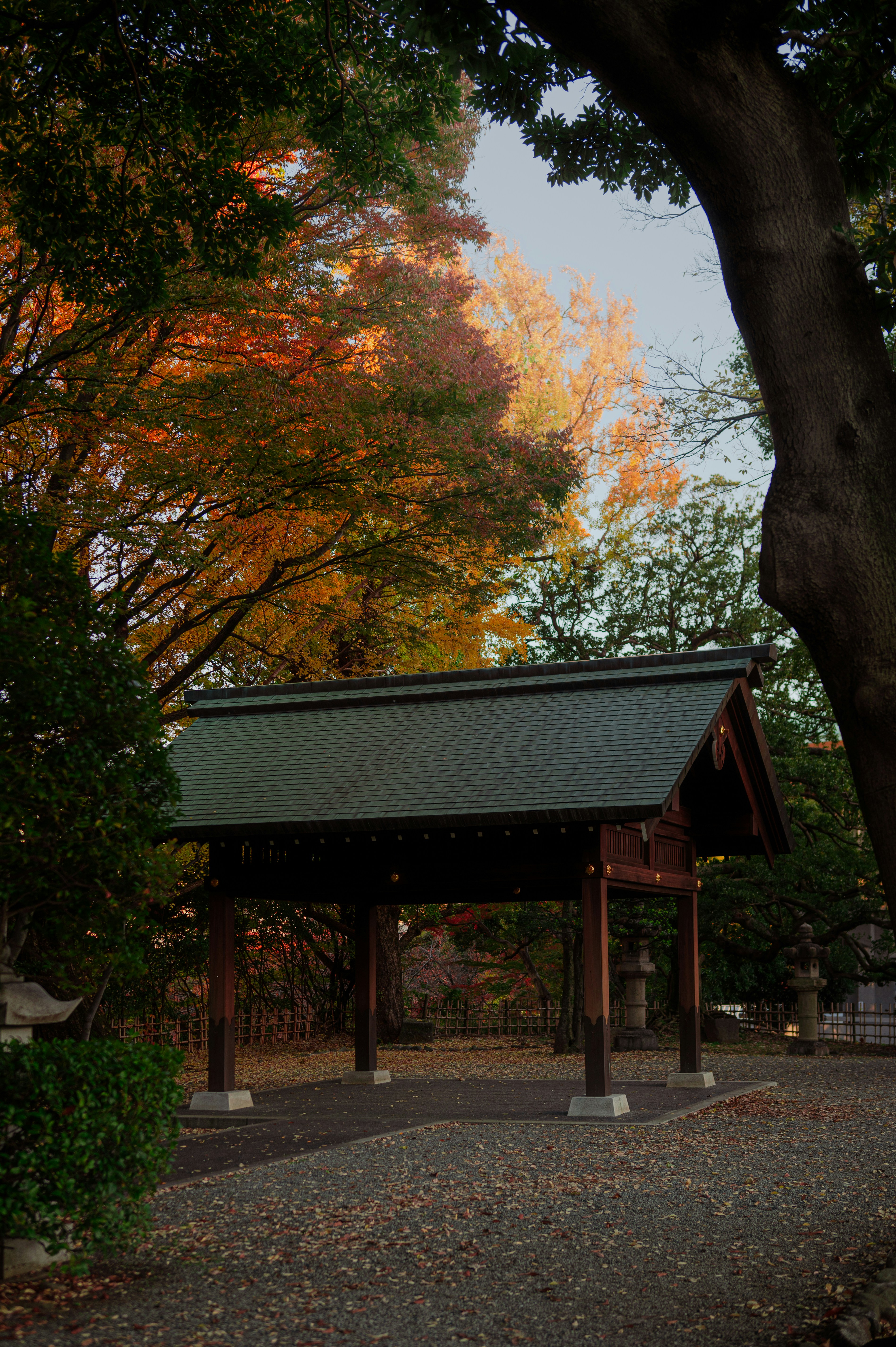 Photo by ryunosuke_kikuno