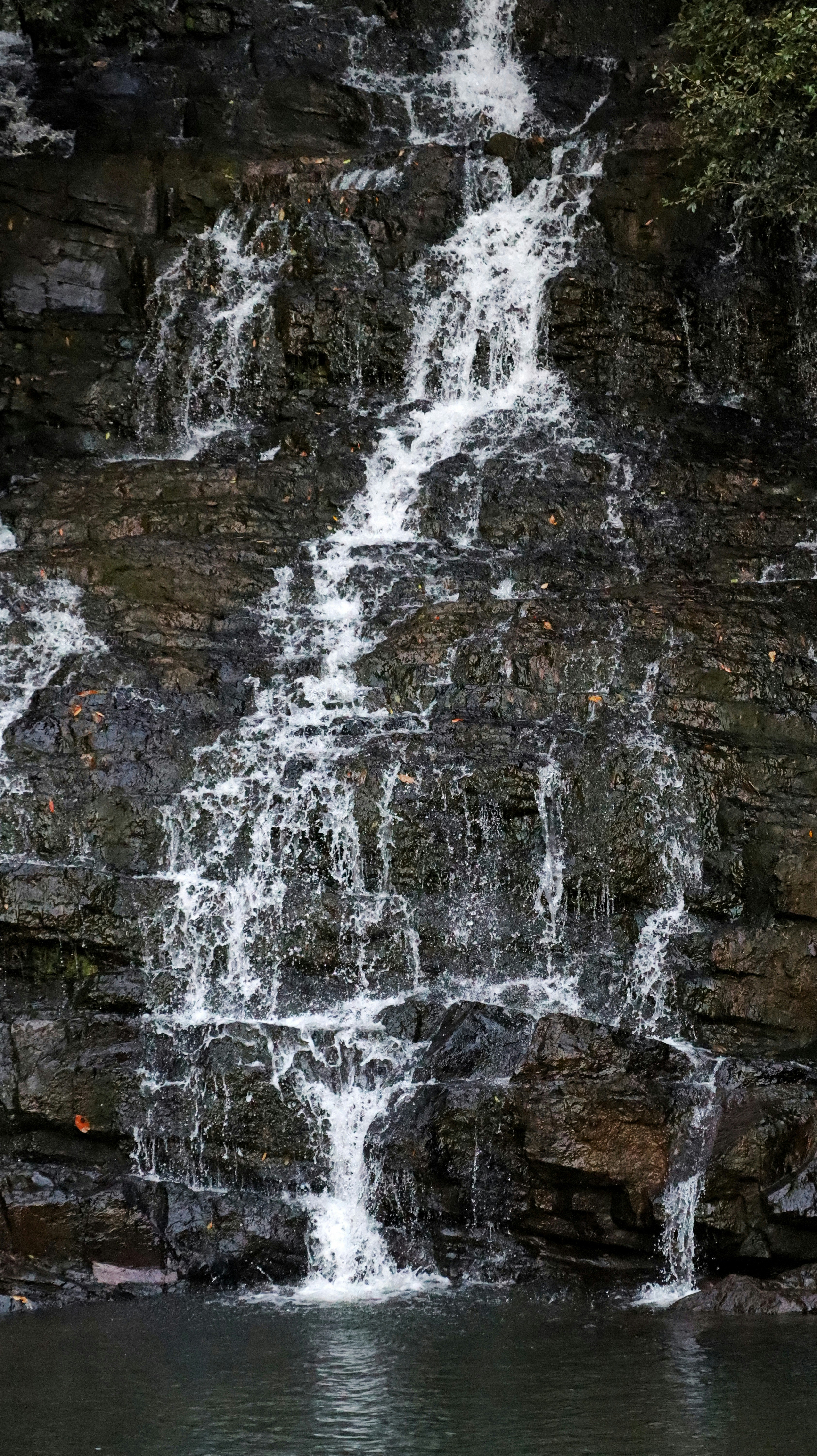 Photo by aditya_sethia_97