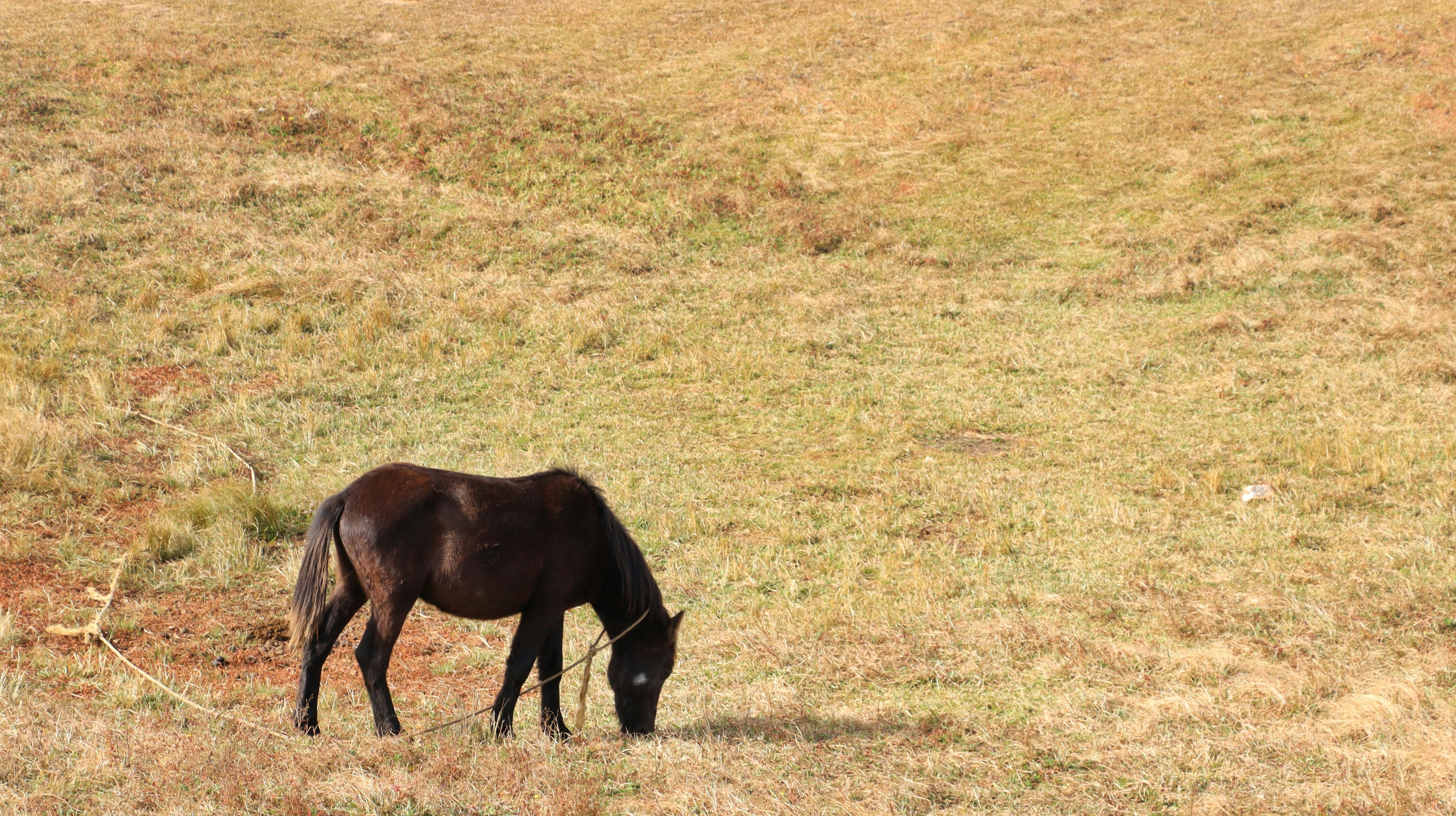 Photo by aditya_sethia_97