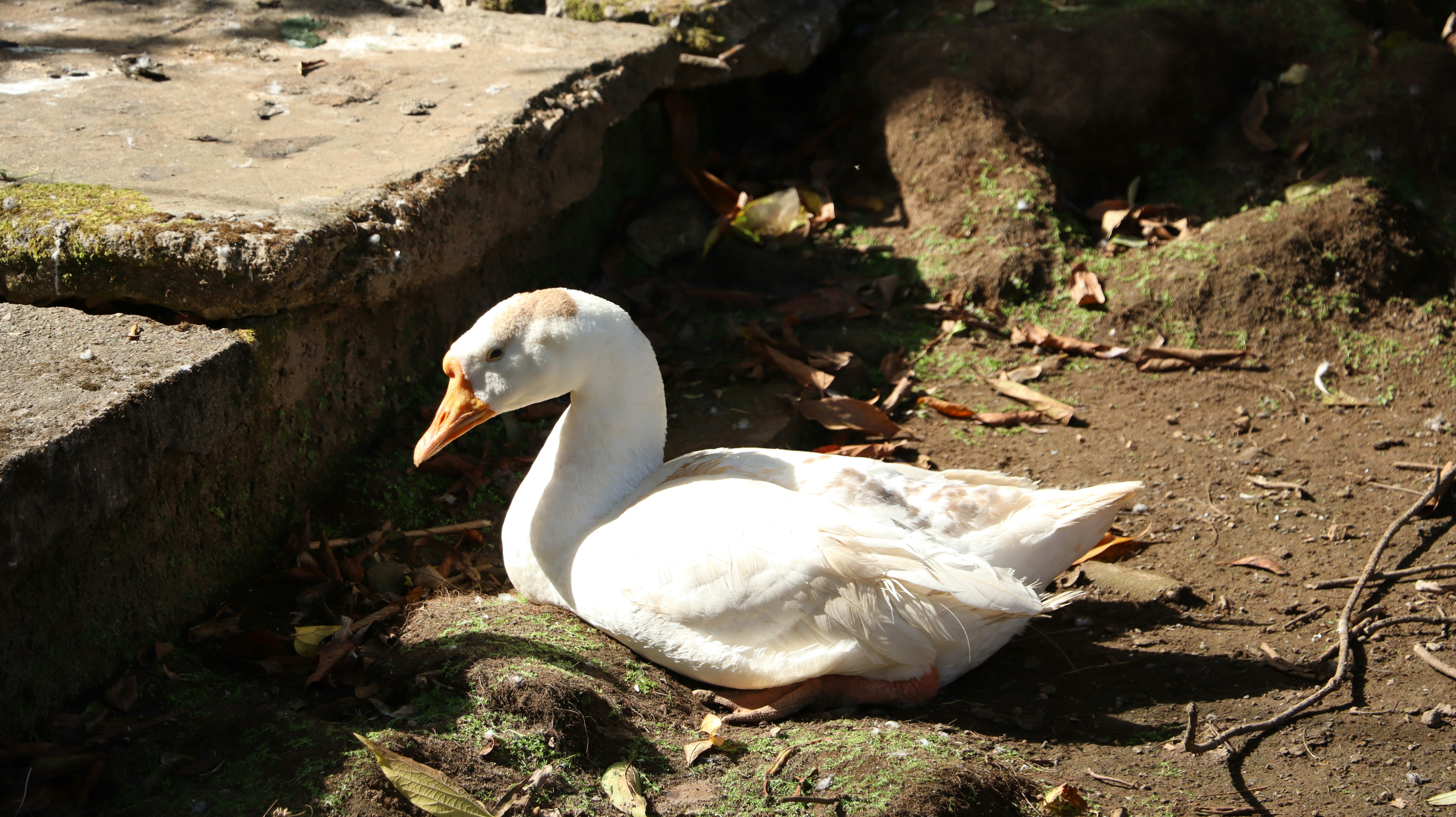 Photo by aditya_sethia_97