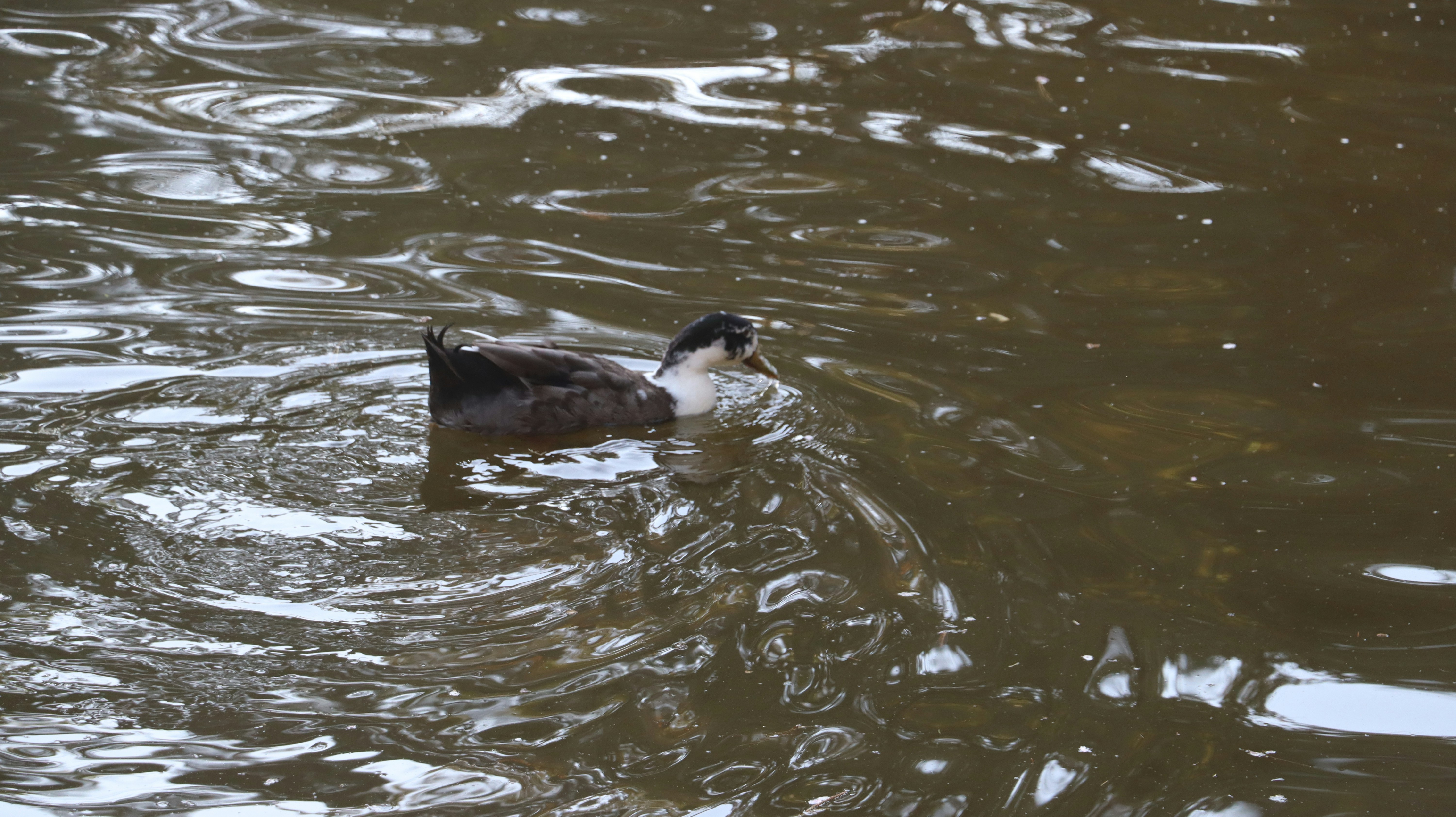 Photo by aditya_sethia_97