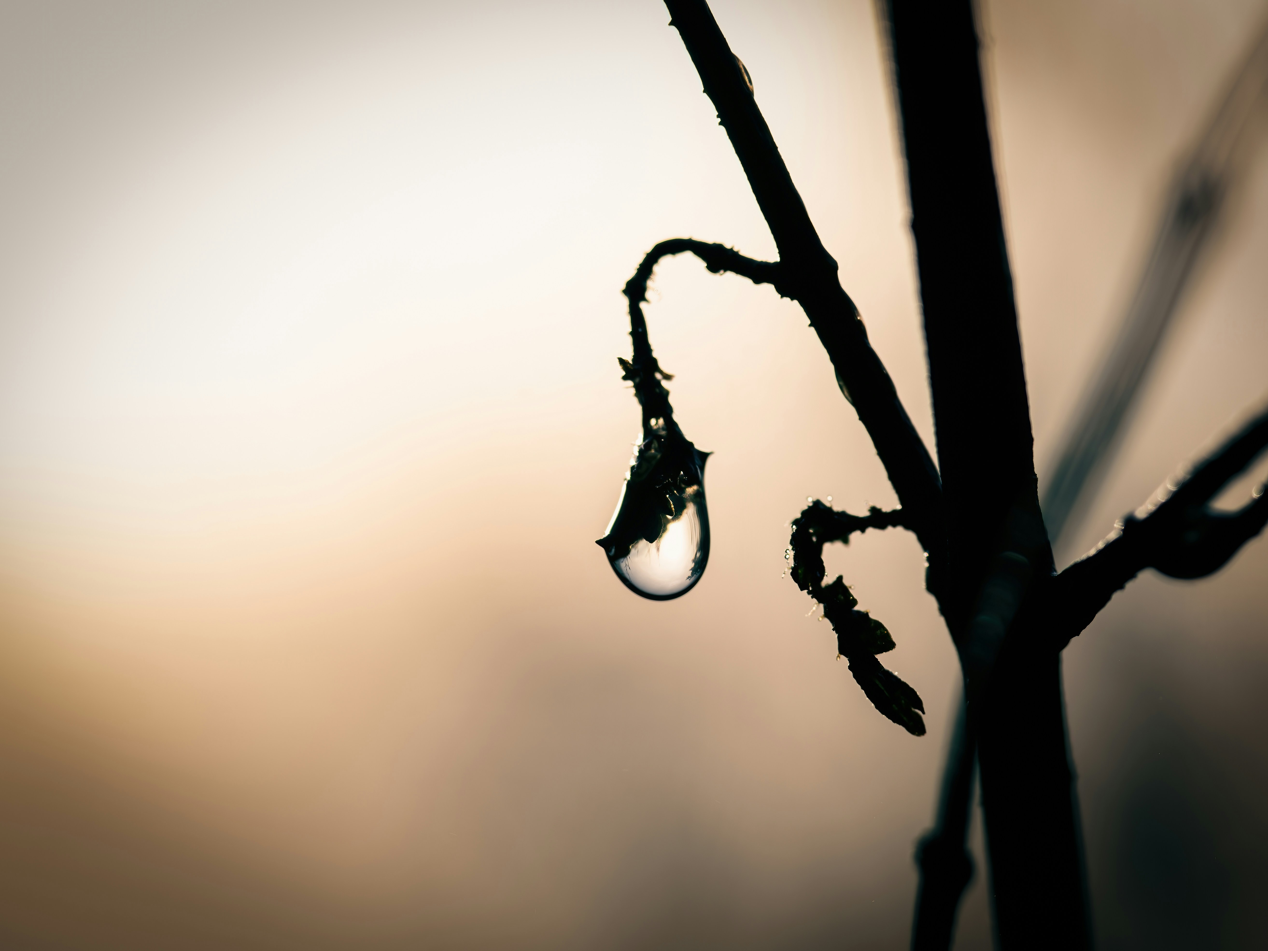 Photo by coombez