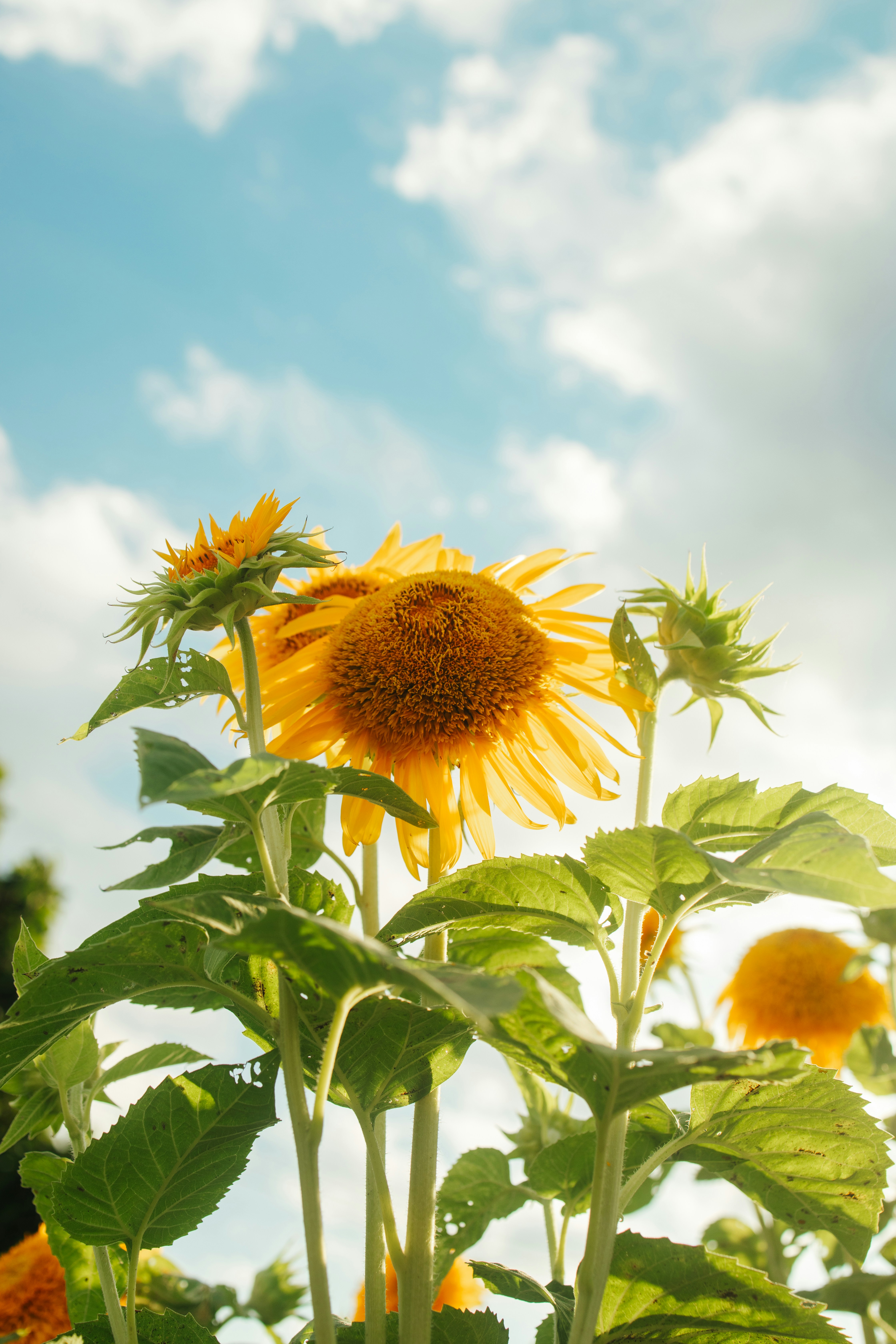 Photo by rikka_yumii