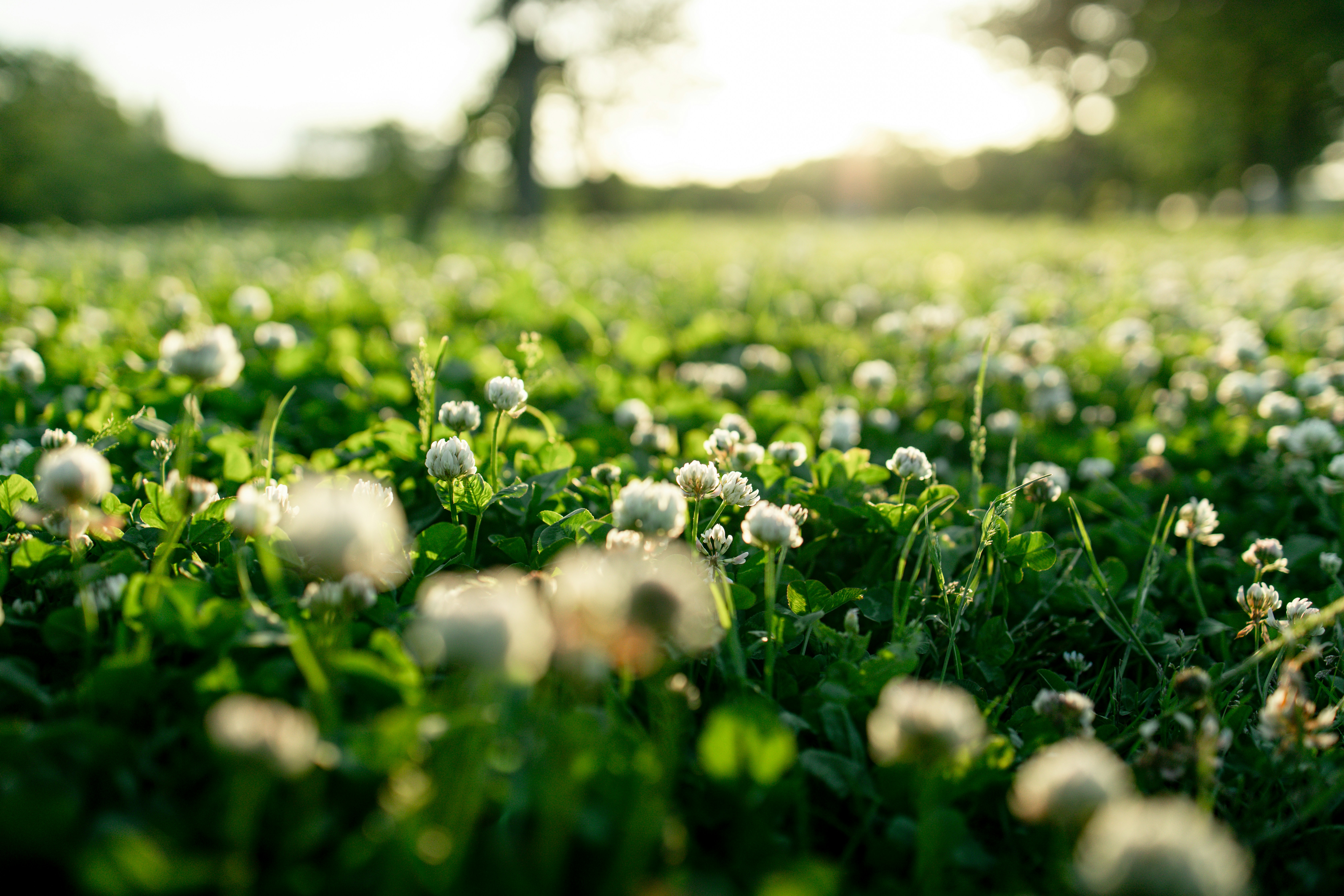 Photo by rikka_yumii