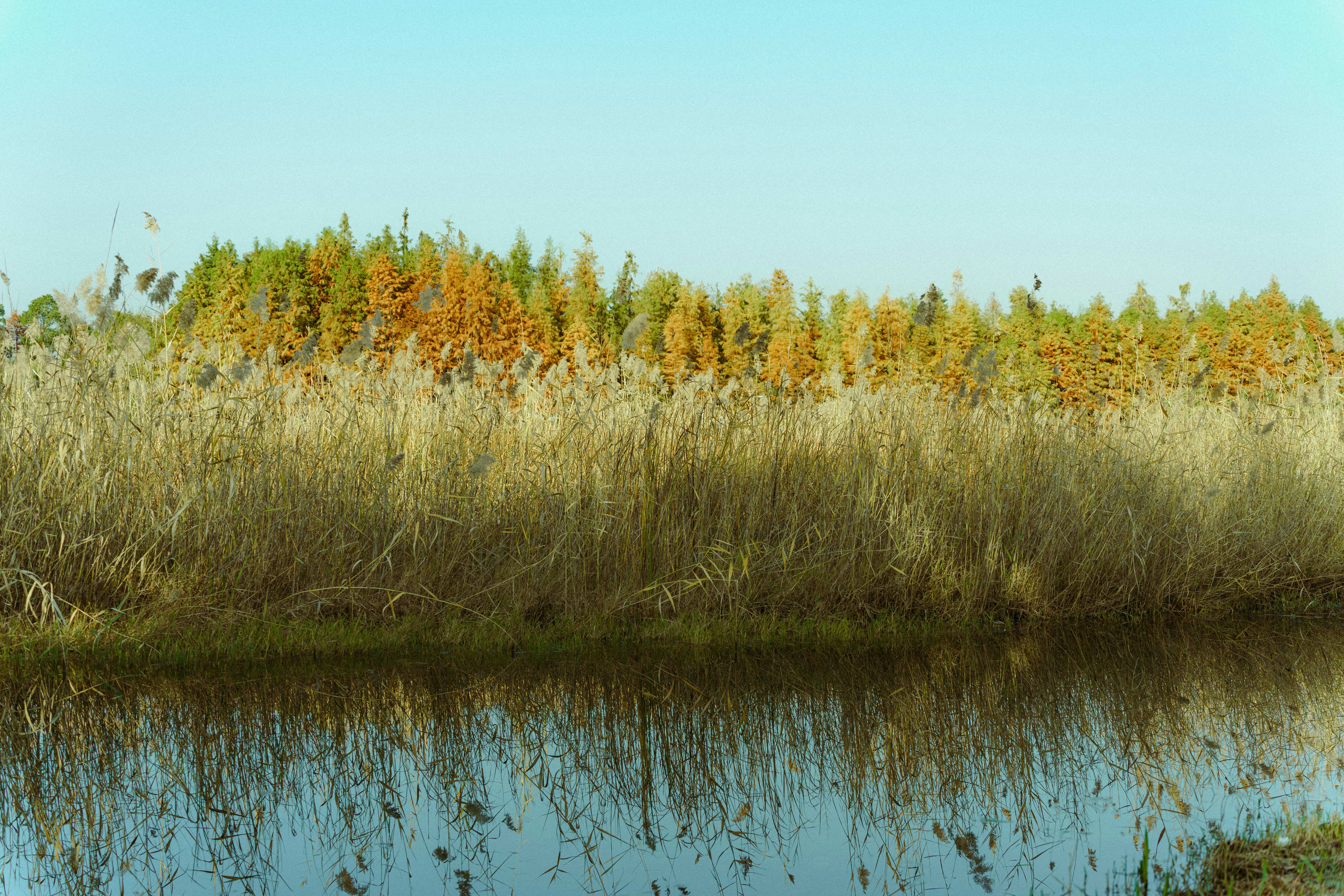 Photo by xiexianghua