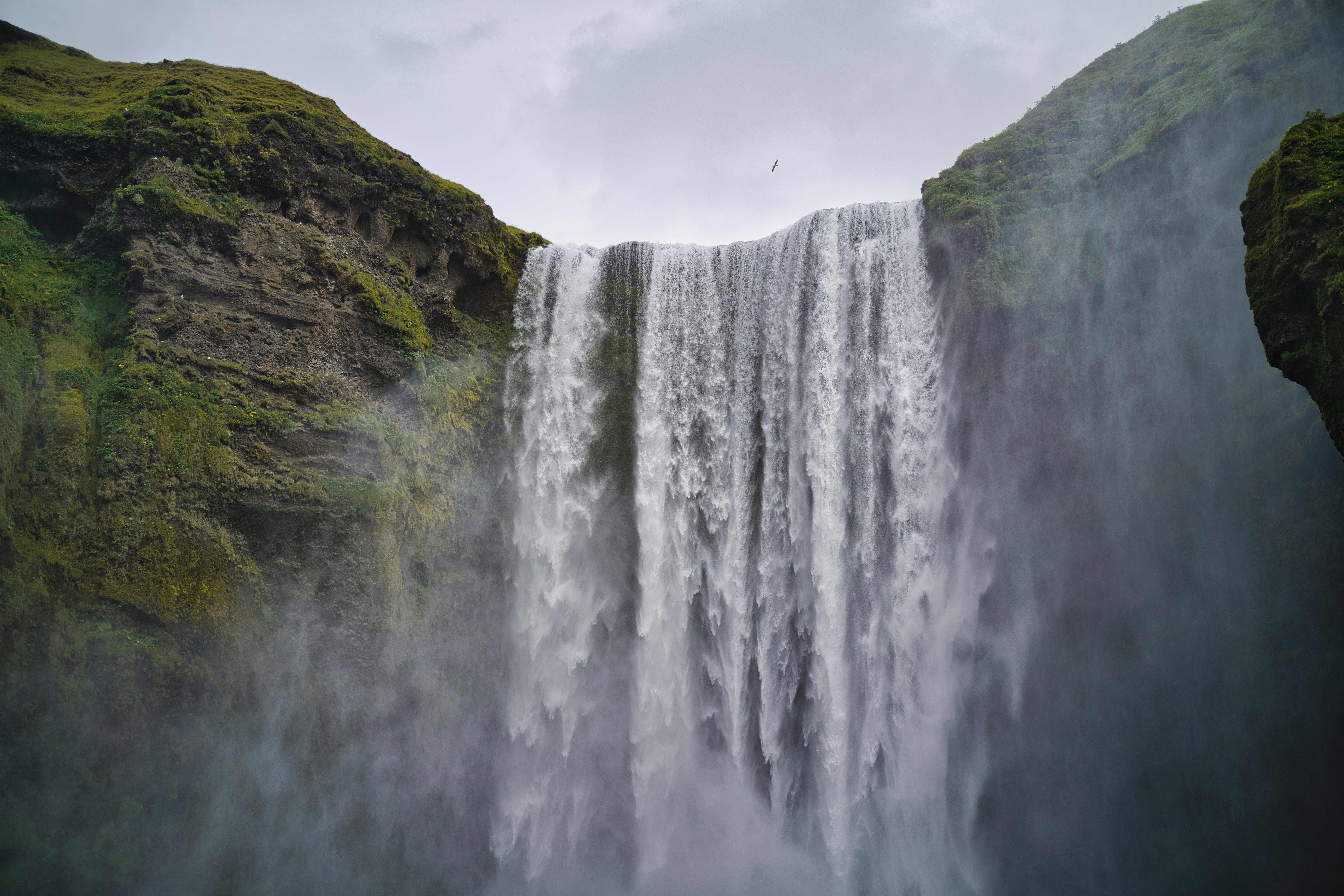 Photo by maksimshutov