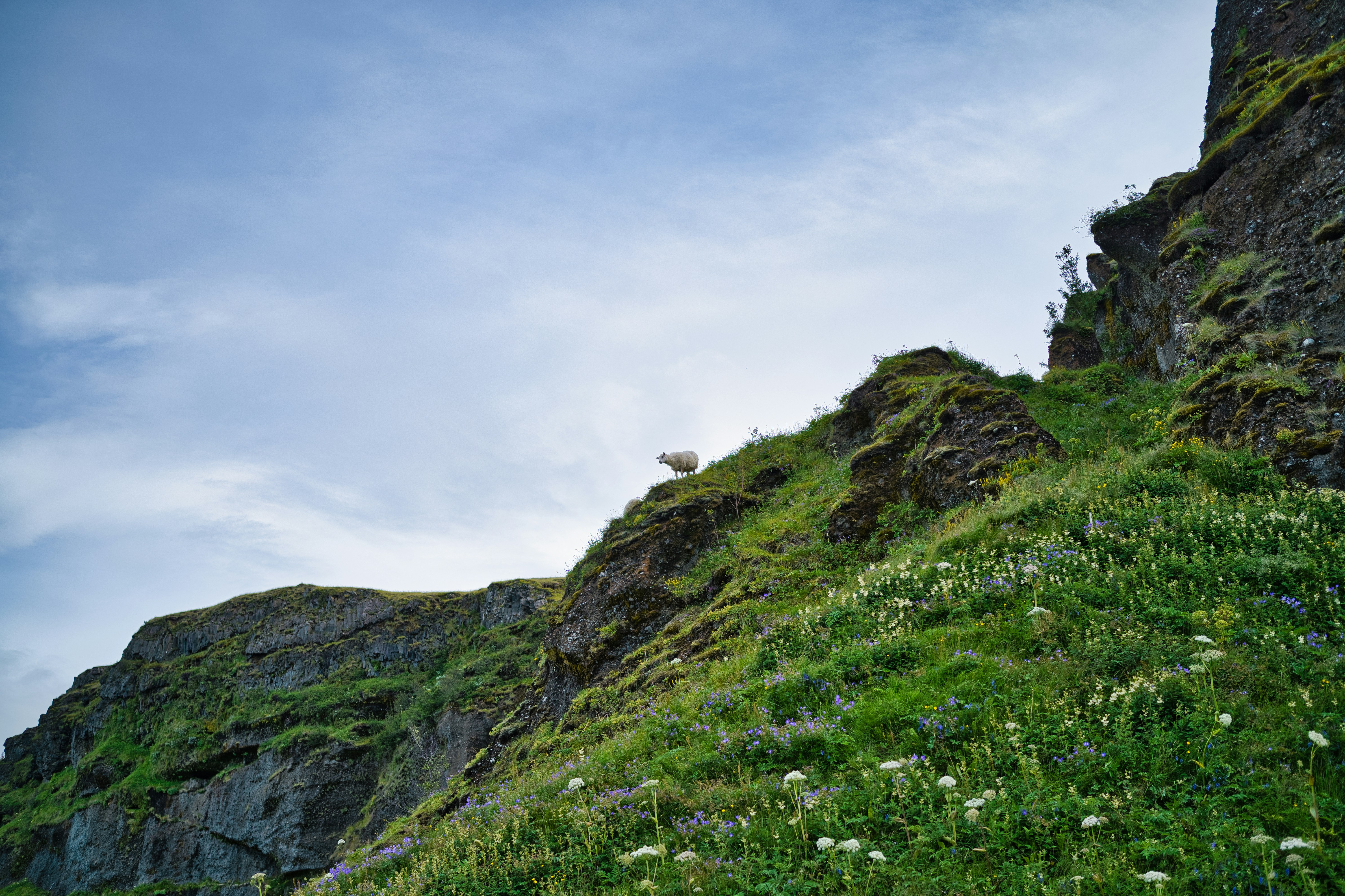 Photo by maksimshutov