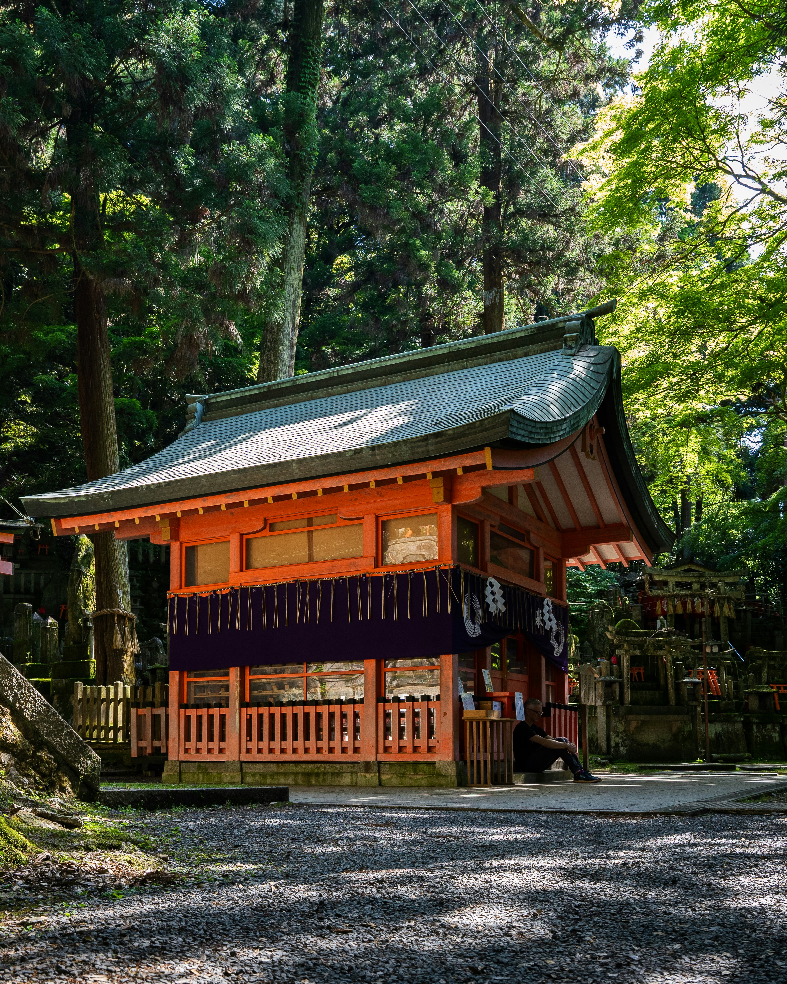 Photo by adamkolmacka